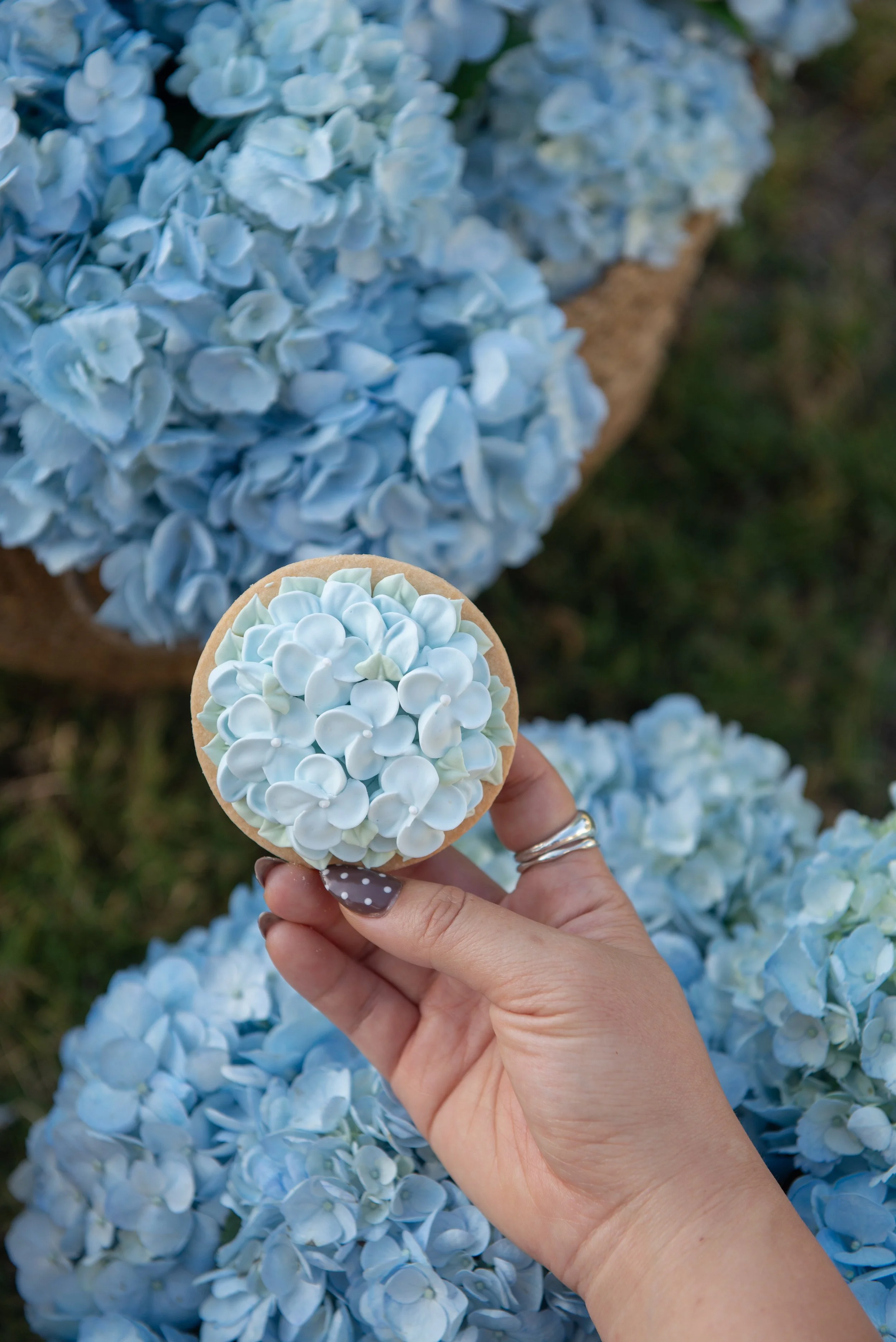 blue hydrangea custom cookies baby shower