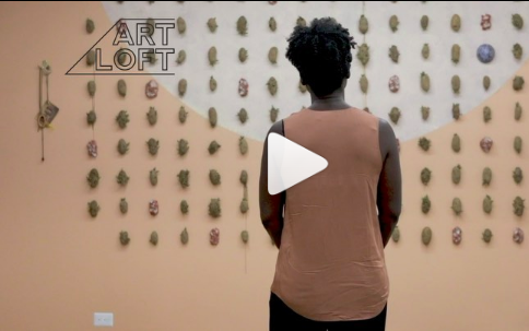 CMXNR on PBS Art Loft 