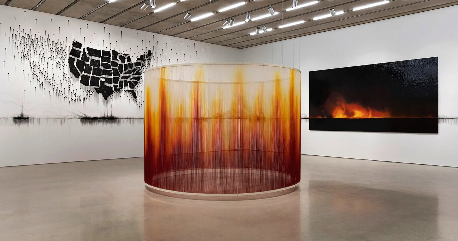 The Evolving Role of the Museum