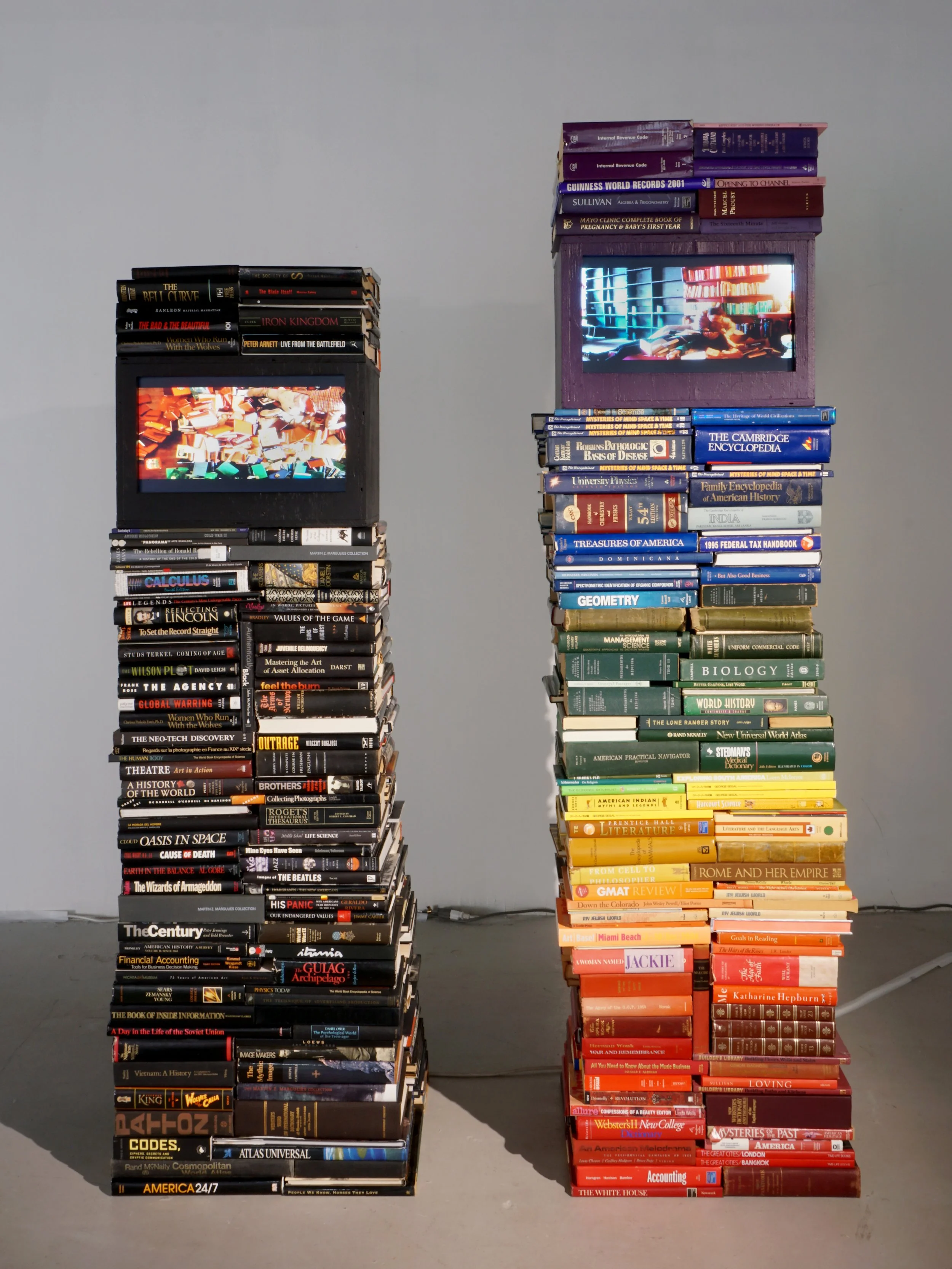 All Members | Artist View: The Margulies Collection