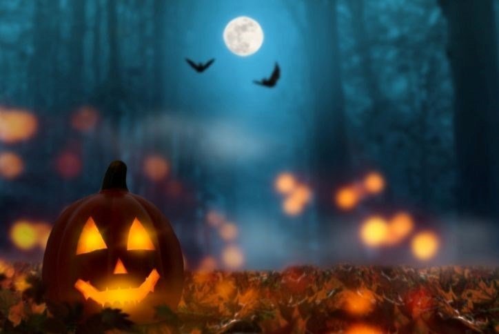 Halloween Haunted House and Fun Fest