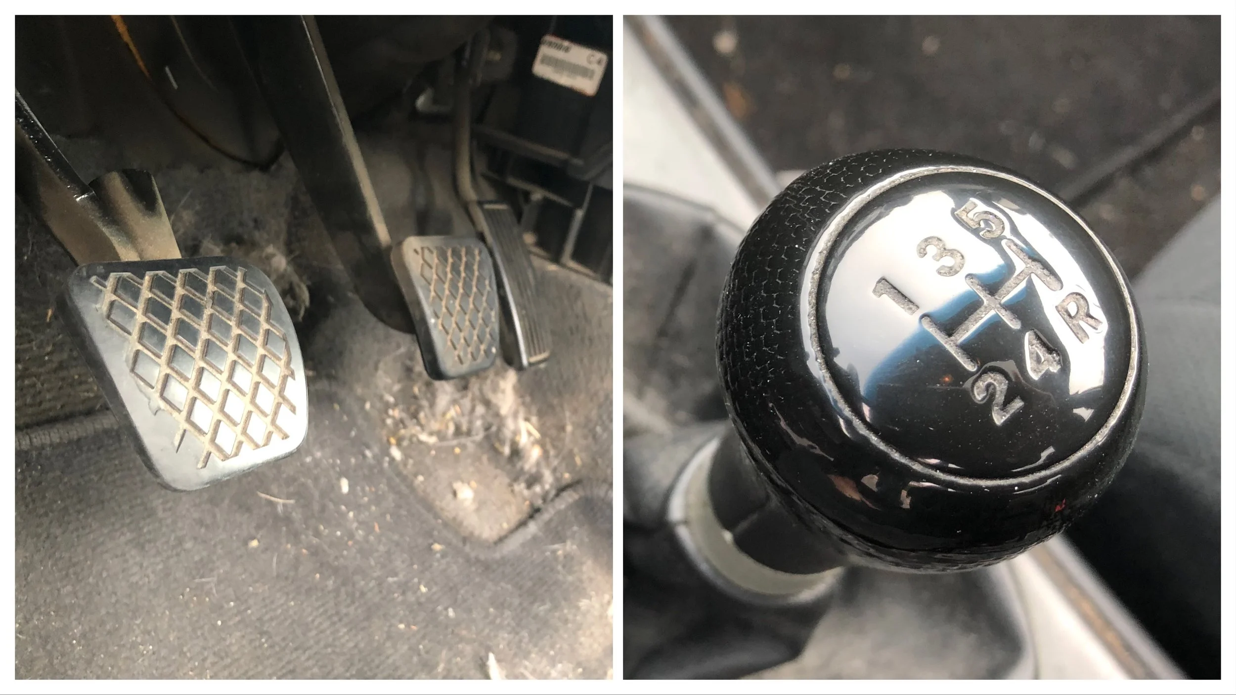 Millennial Carjacker Baffled by New Anti-Theft Device