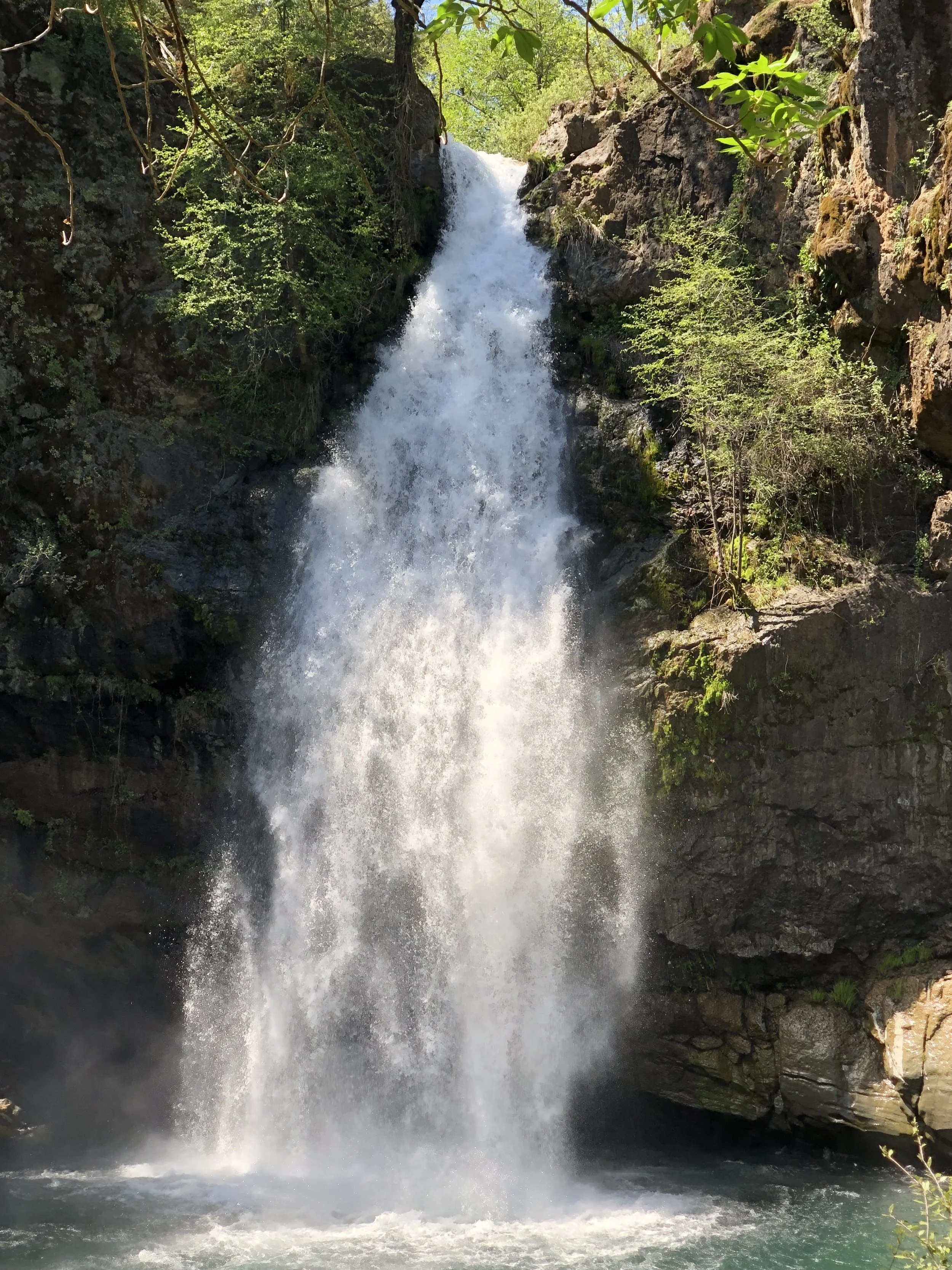 Potem Creek Falls has not been without its own controversy. Drug use by the waterfall led to an infamous Twitter rant that left it banned by the social media giant for ten days.