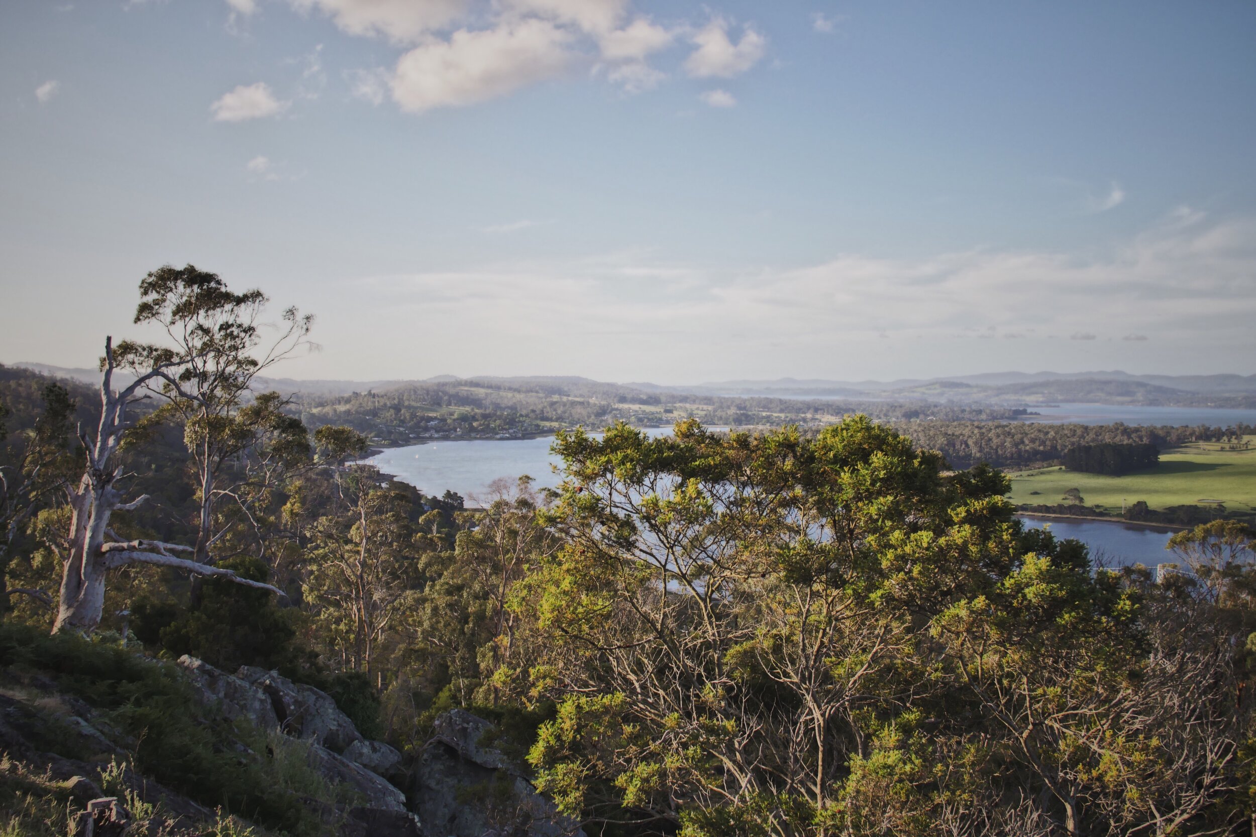 Tamar Valley.JPG
