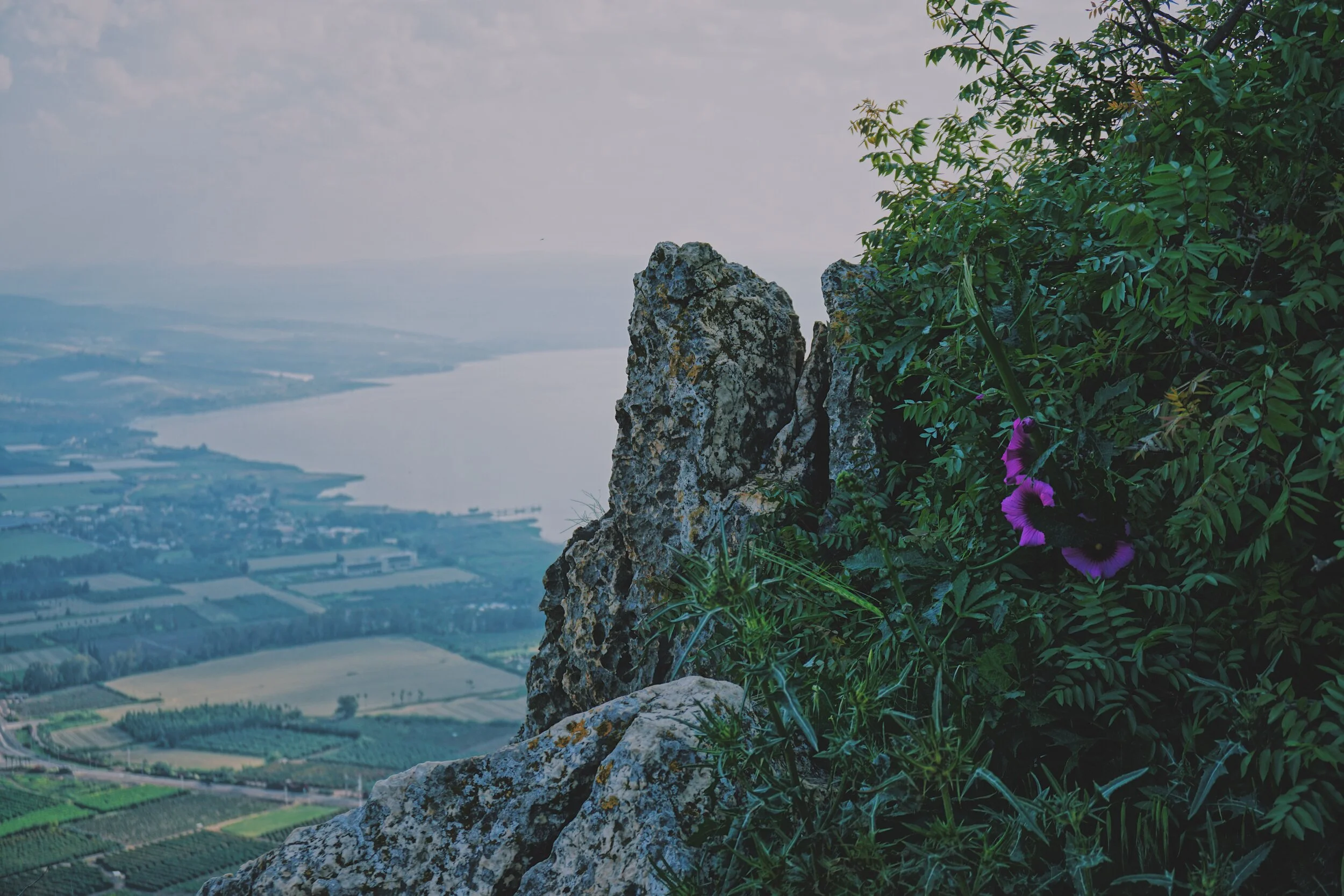6. View from Mt Arbel 2.jpg