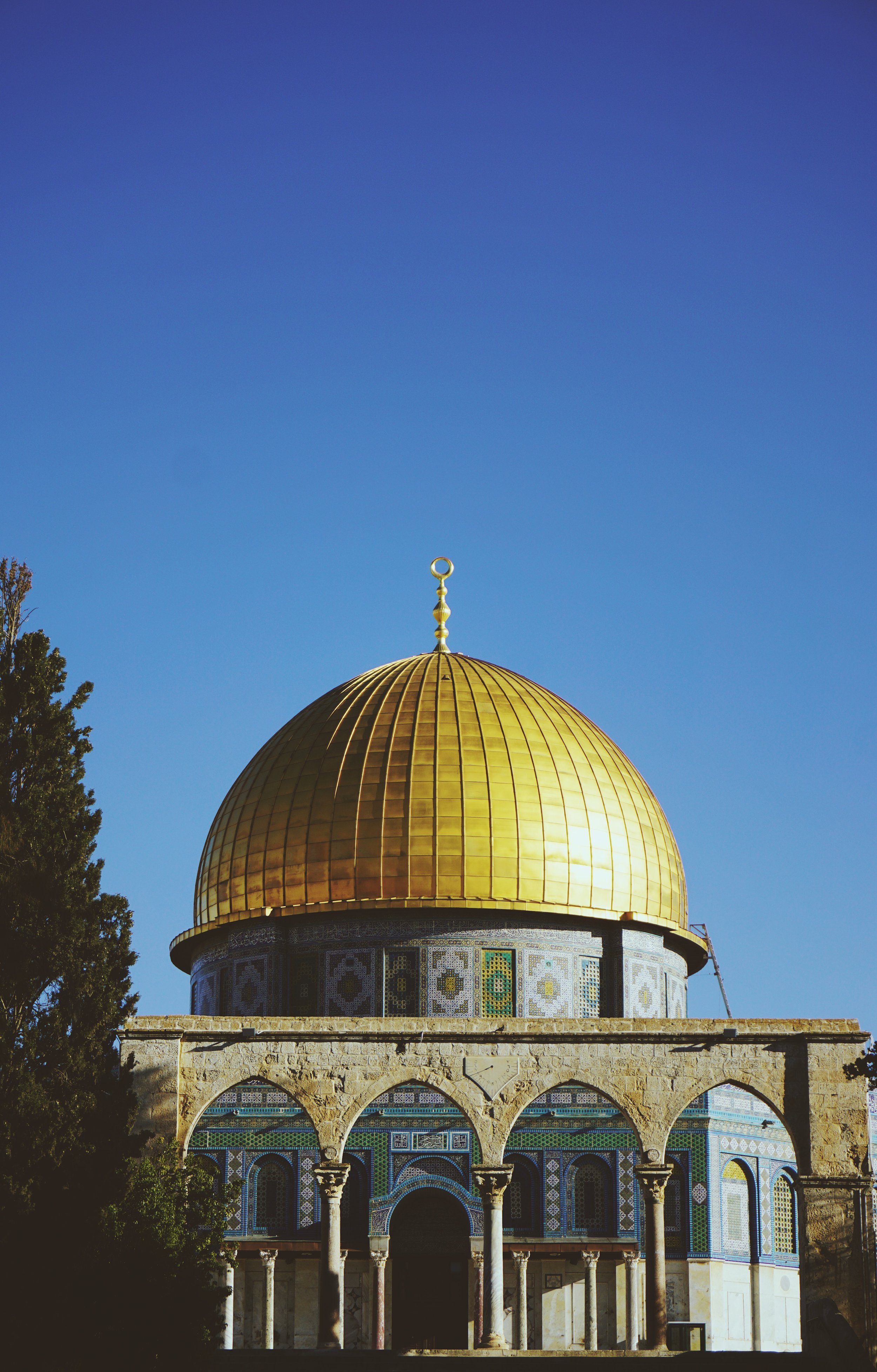Dome of rock tree.JPG