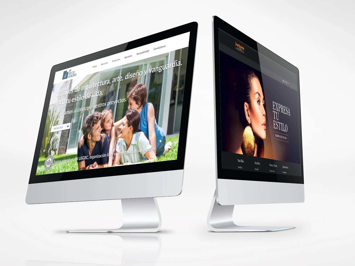 websites-wasilow.jpg