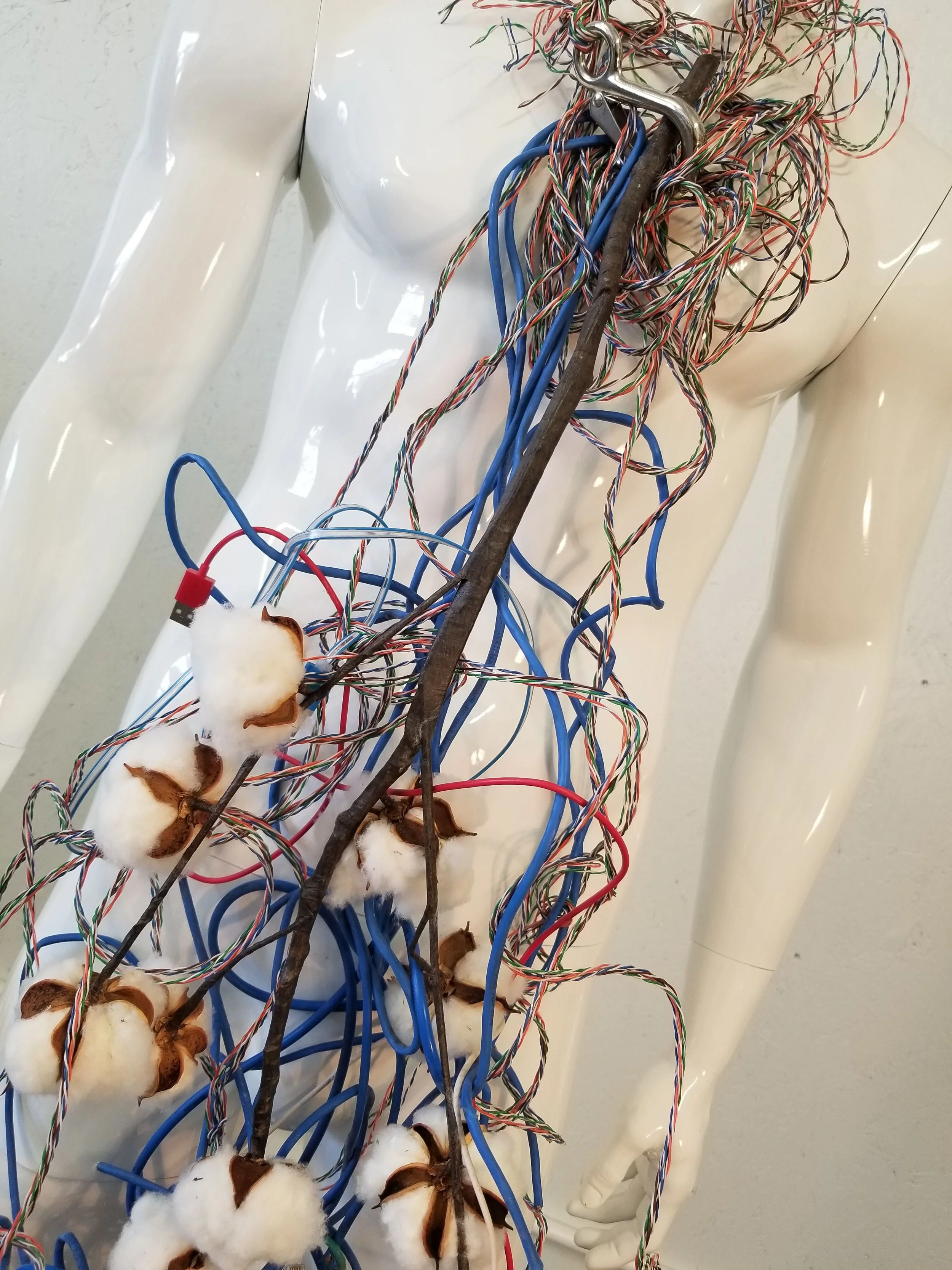 Bolls and Balls 3 Rachel Anderson 2019.jpeg