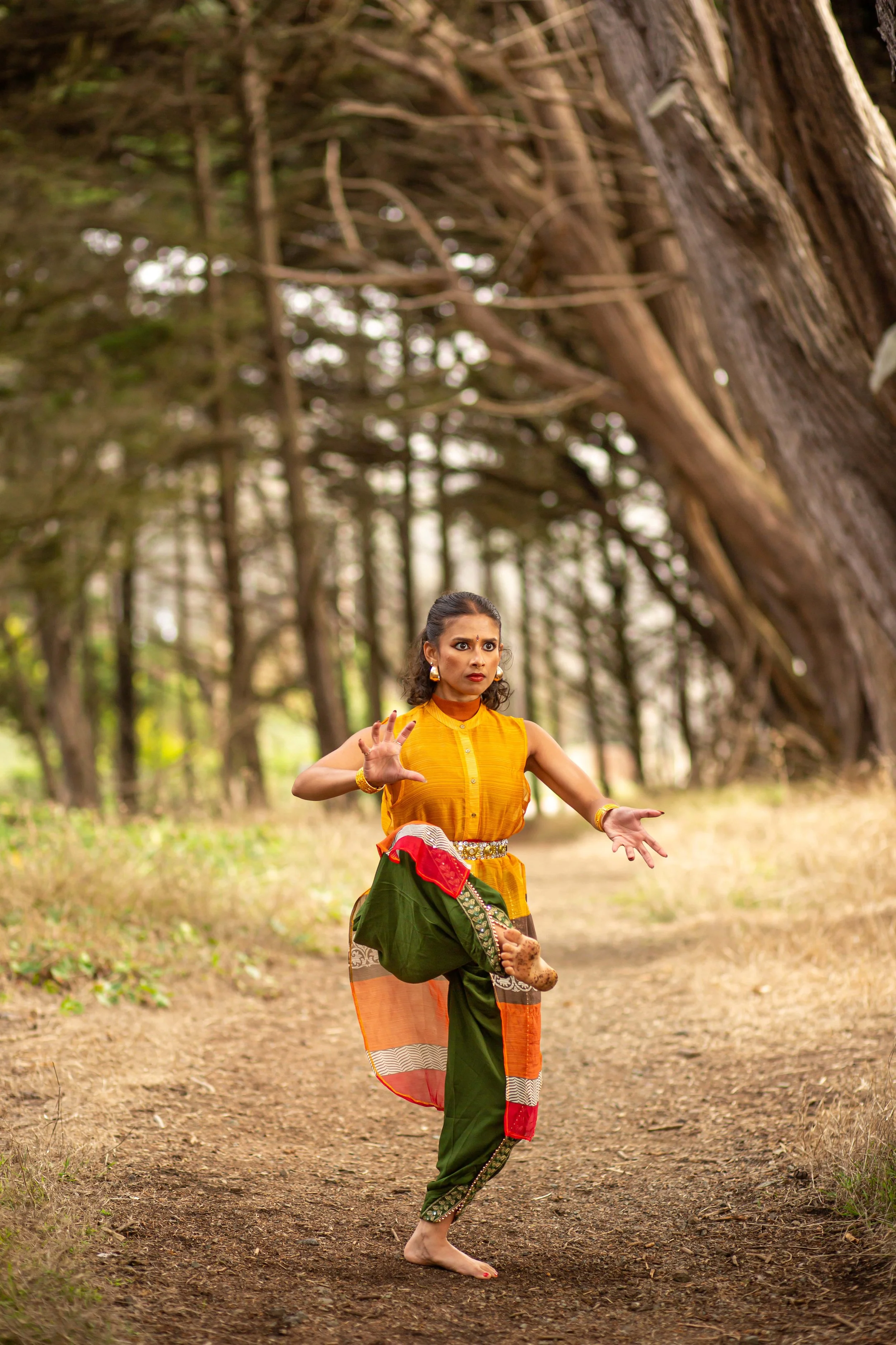 Seattle International Dance Festival