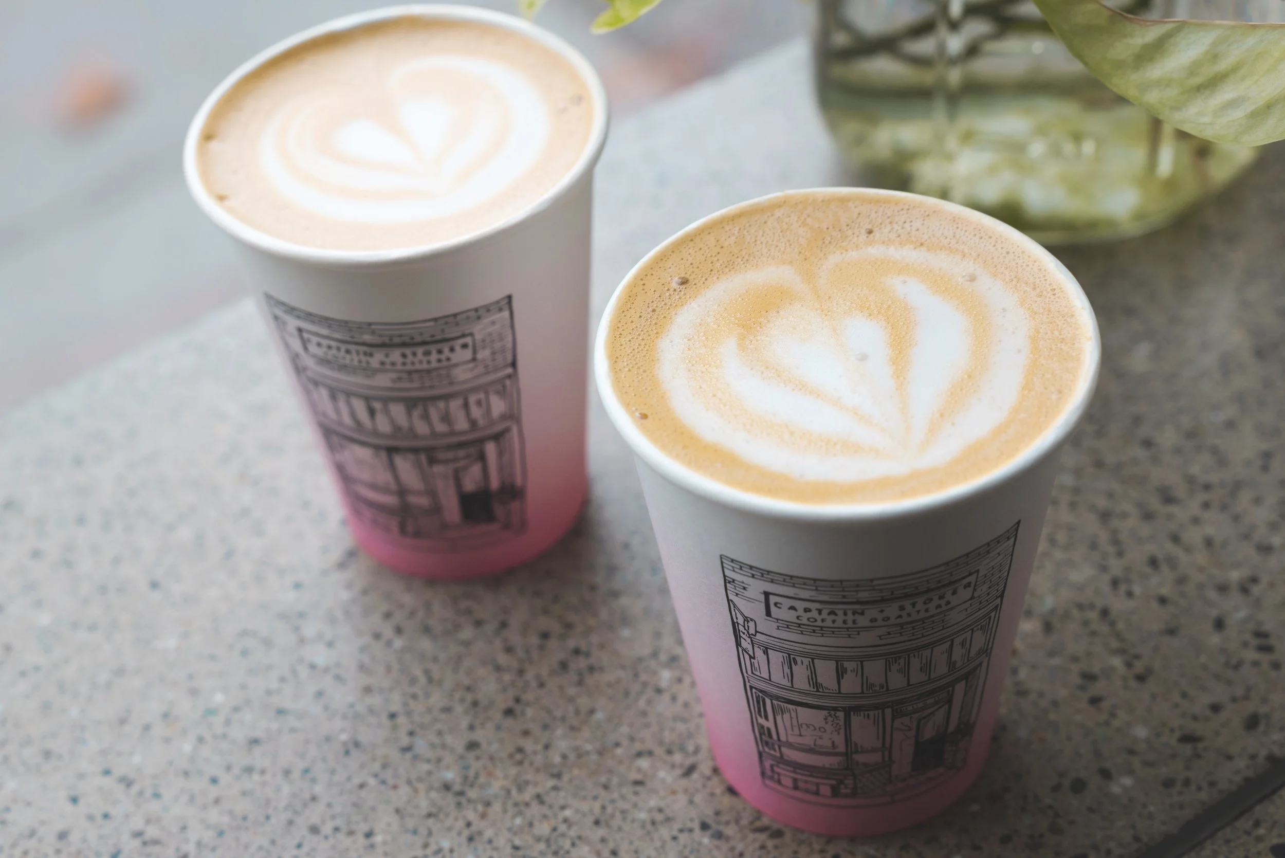 captain and stoker coffee pacific grove