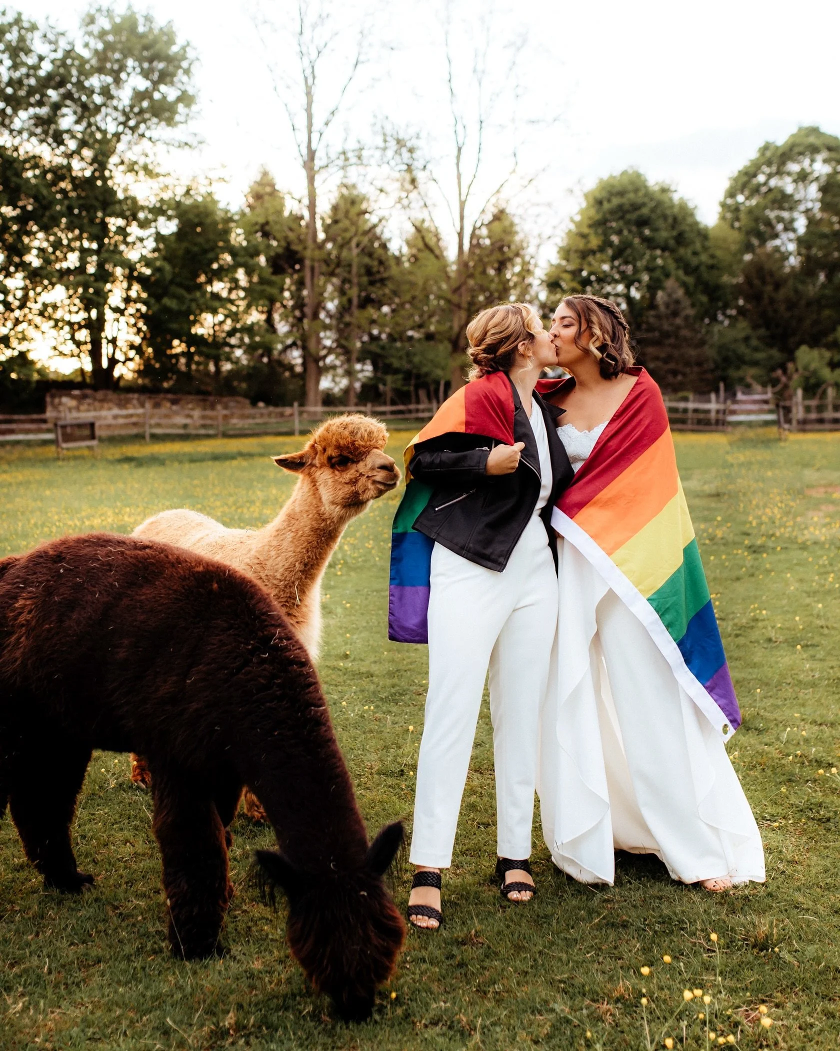 loud and proud all over the world 👏🏻🏳️&zwj;🌈🩷🧡 #lesbiancouple #lesbianwedding #wlw #pridemonth #pride