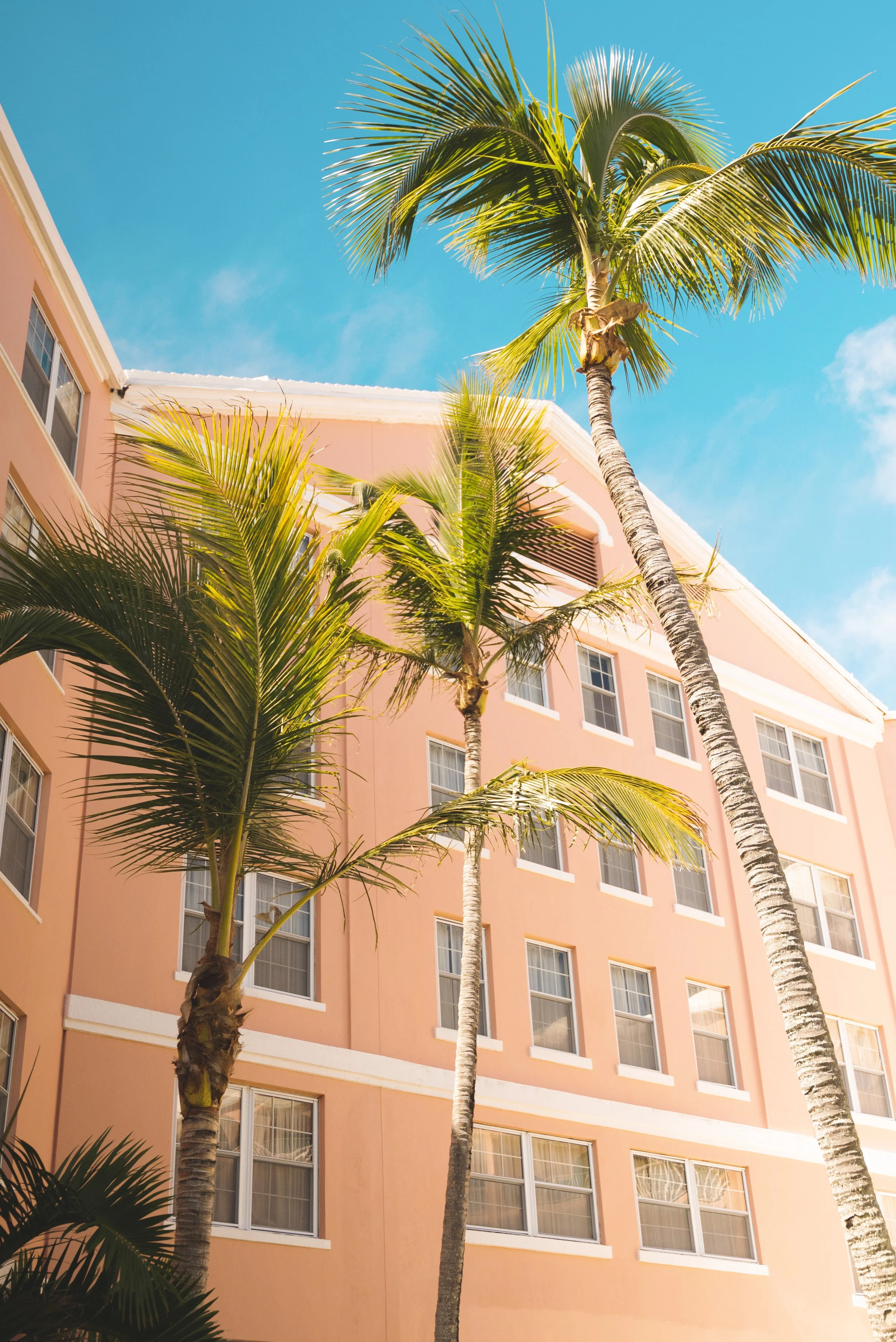 hamilton princess bermuda