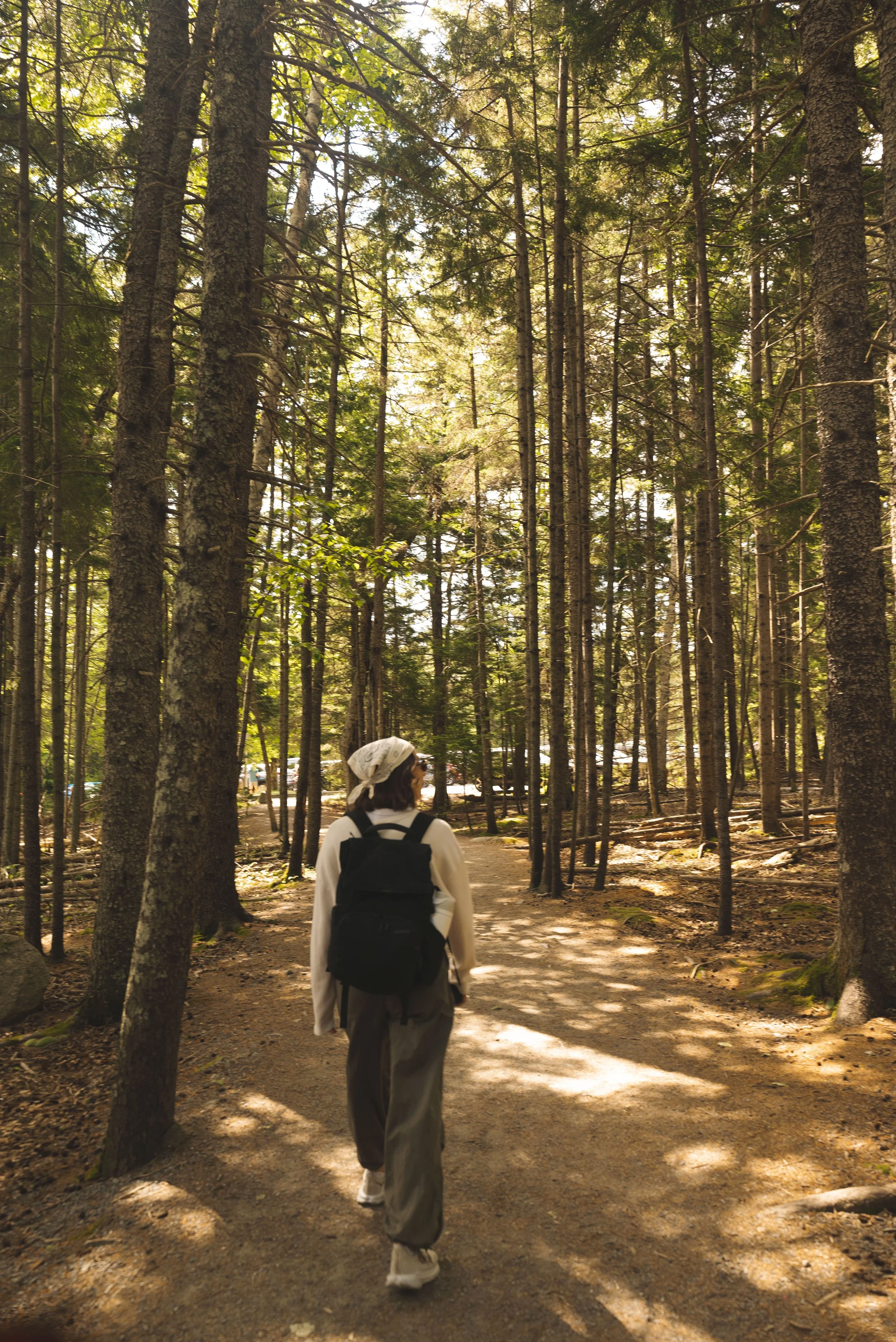 girl walking through trees in acadia national park