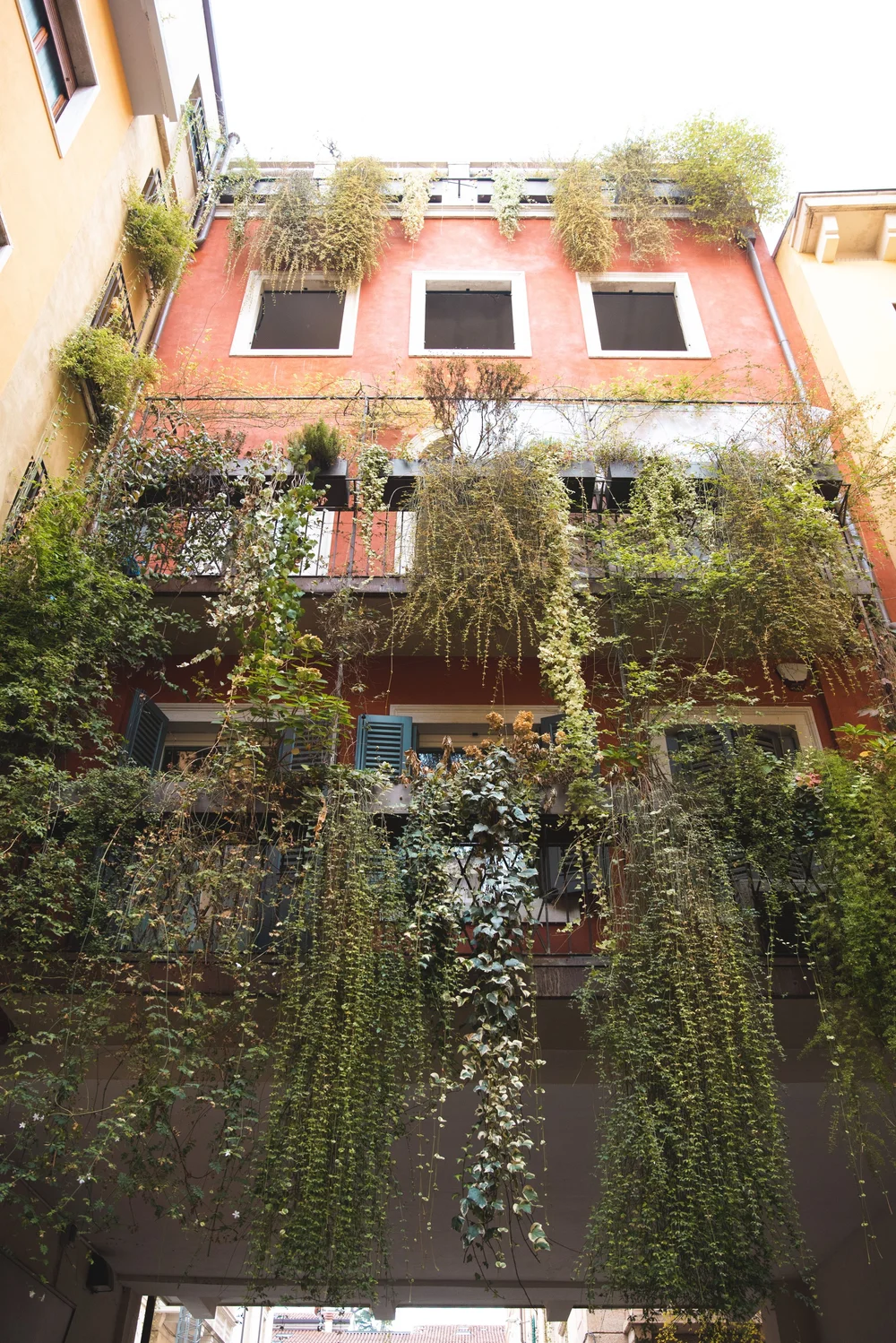 Verona visual data 4