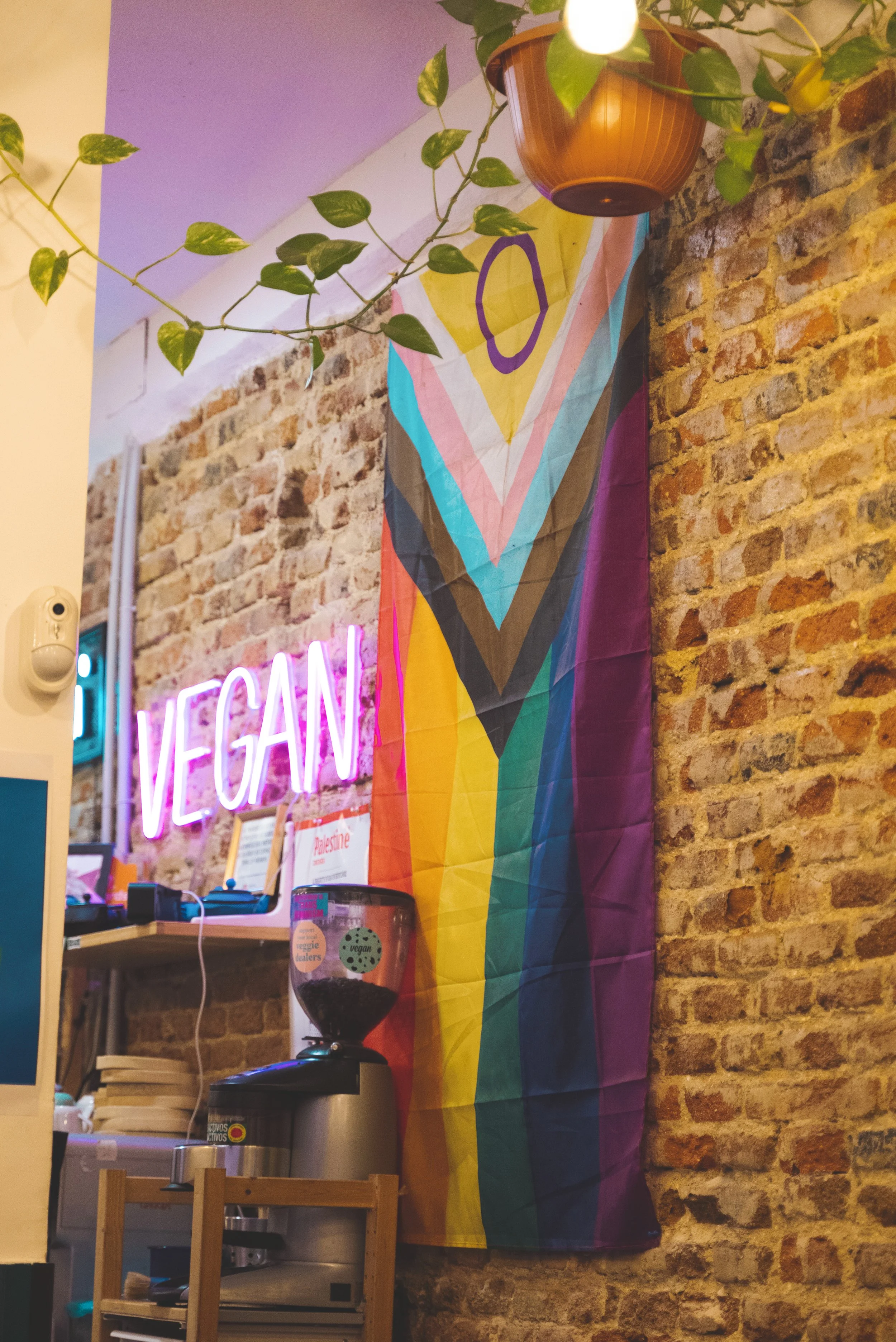 pride flag at Oveja Negra Vegana madrid