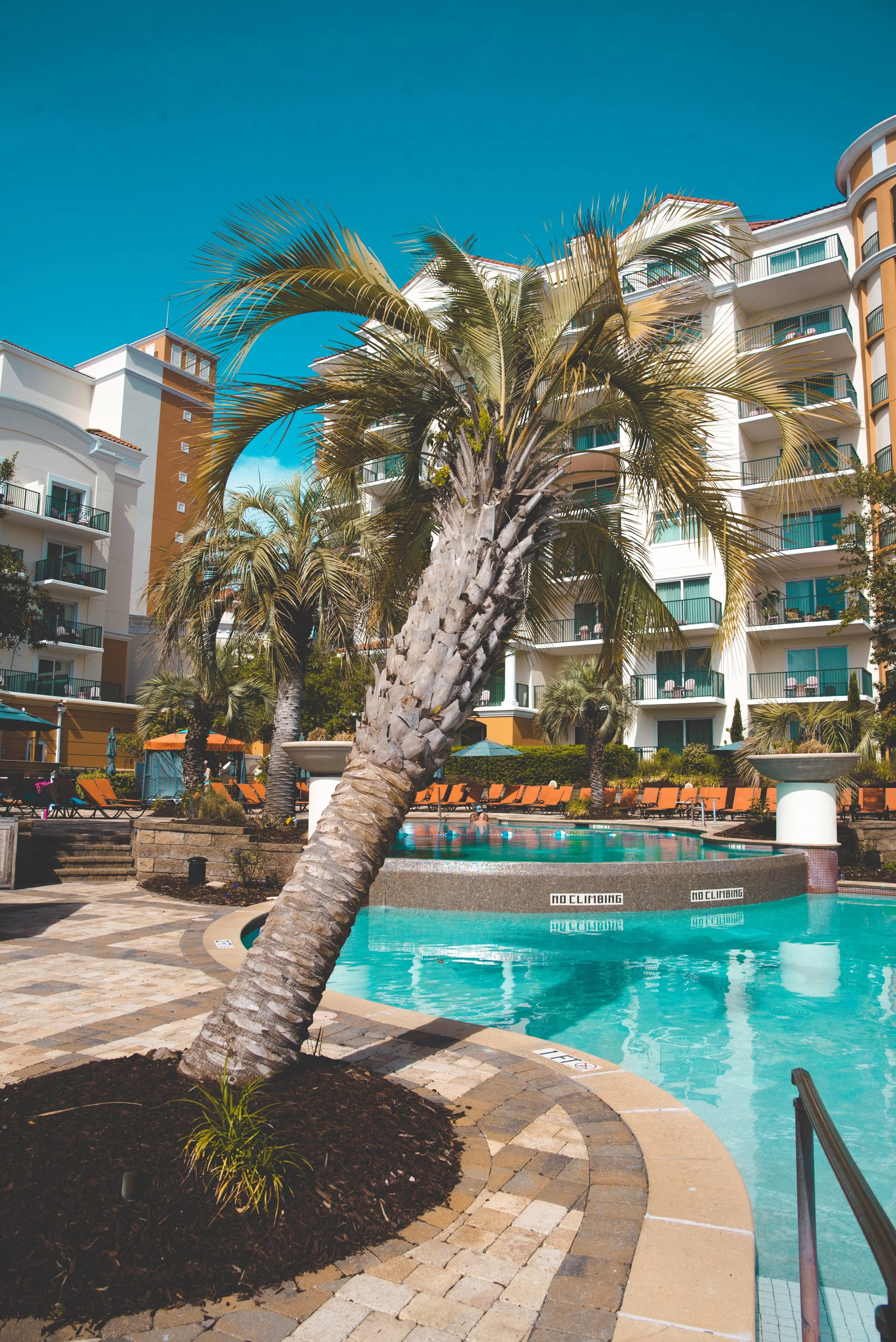 marina inn at the grand dunes hotel