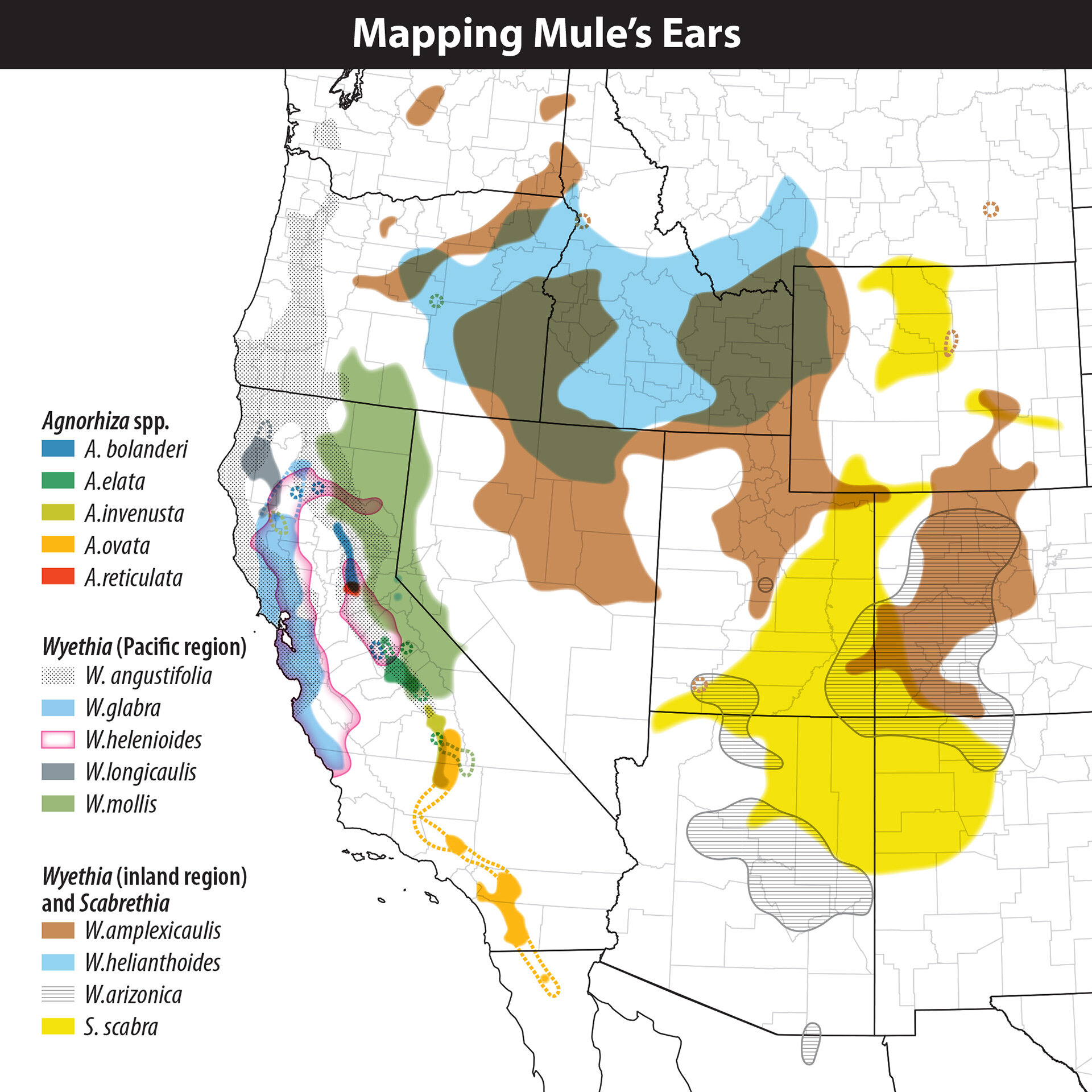 Mapping_Mules_Ears.jpg