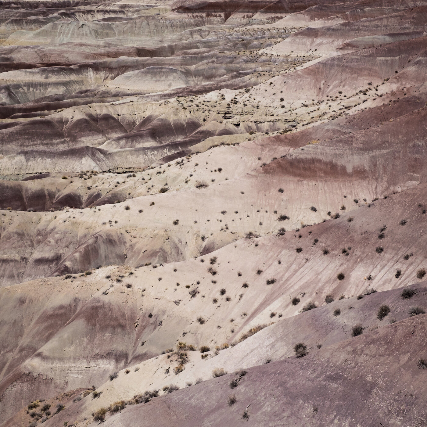 "Little Painted Desert," Winslow, Arizona