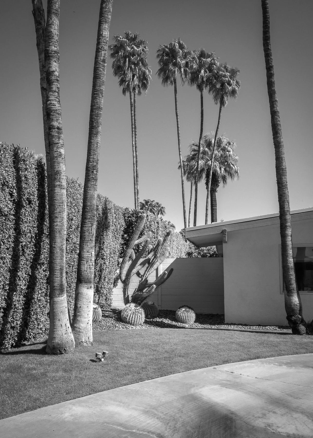 R0003781-PalmSprings-web.jpg