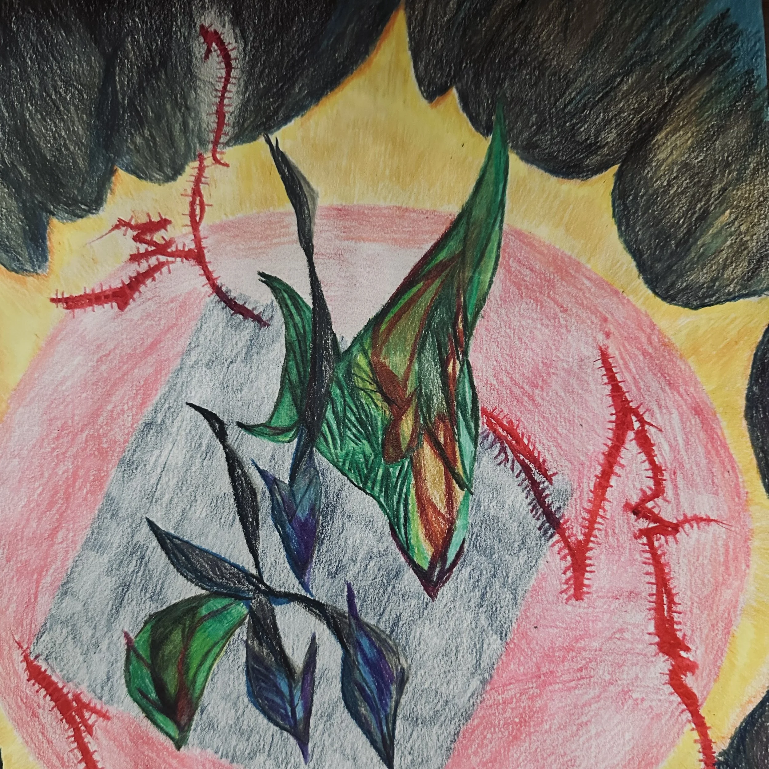 Reconnect with the Body