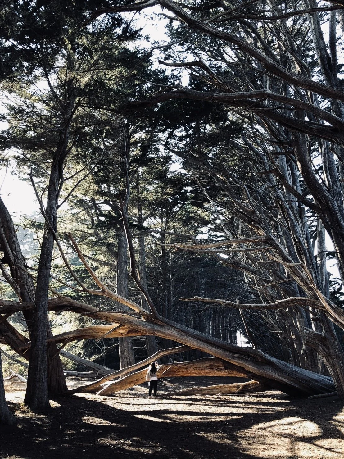 Anger Well: Healing Cultural Trauma and Experiencing the Power of Anger