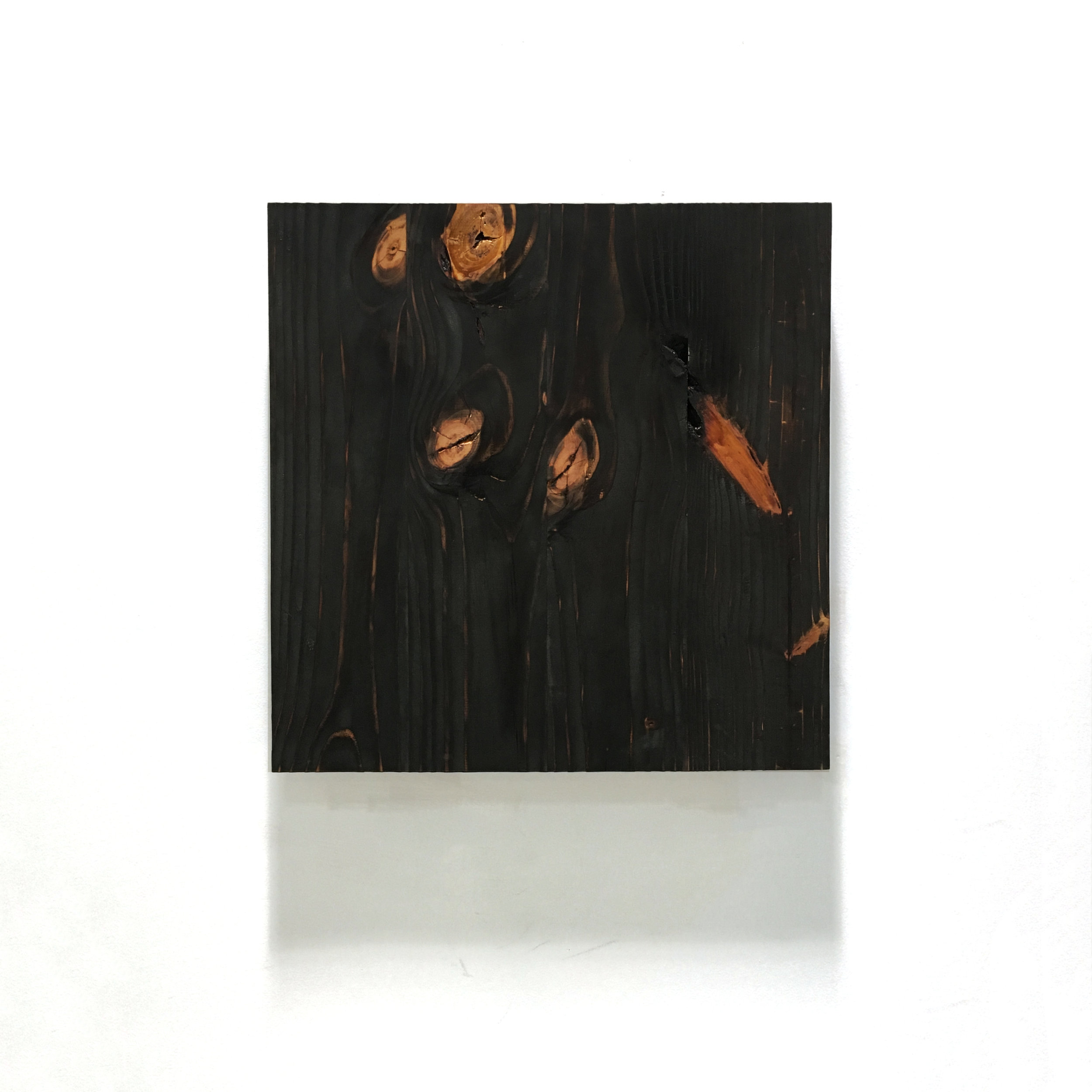 Temporality 1