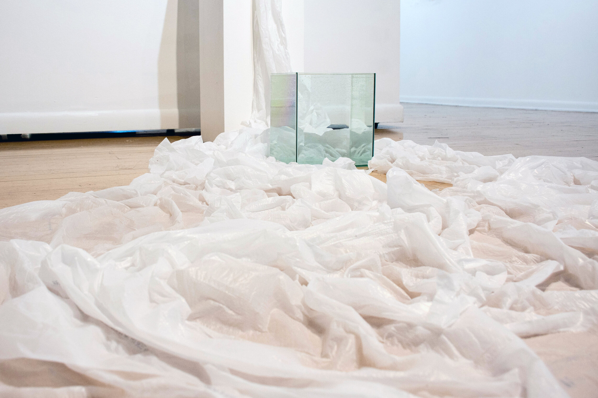  I Deserve to Stay, Dimensions variable, Water Tank &amp; Plastic Bags &amp; Water, 2018 