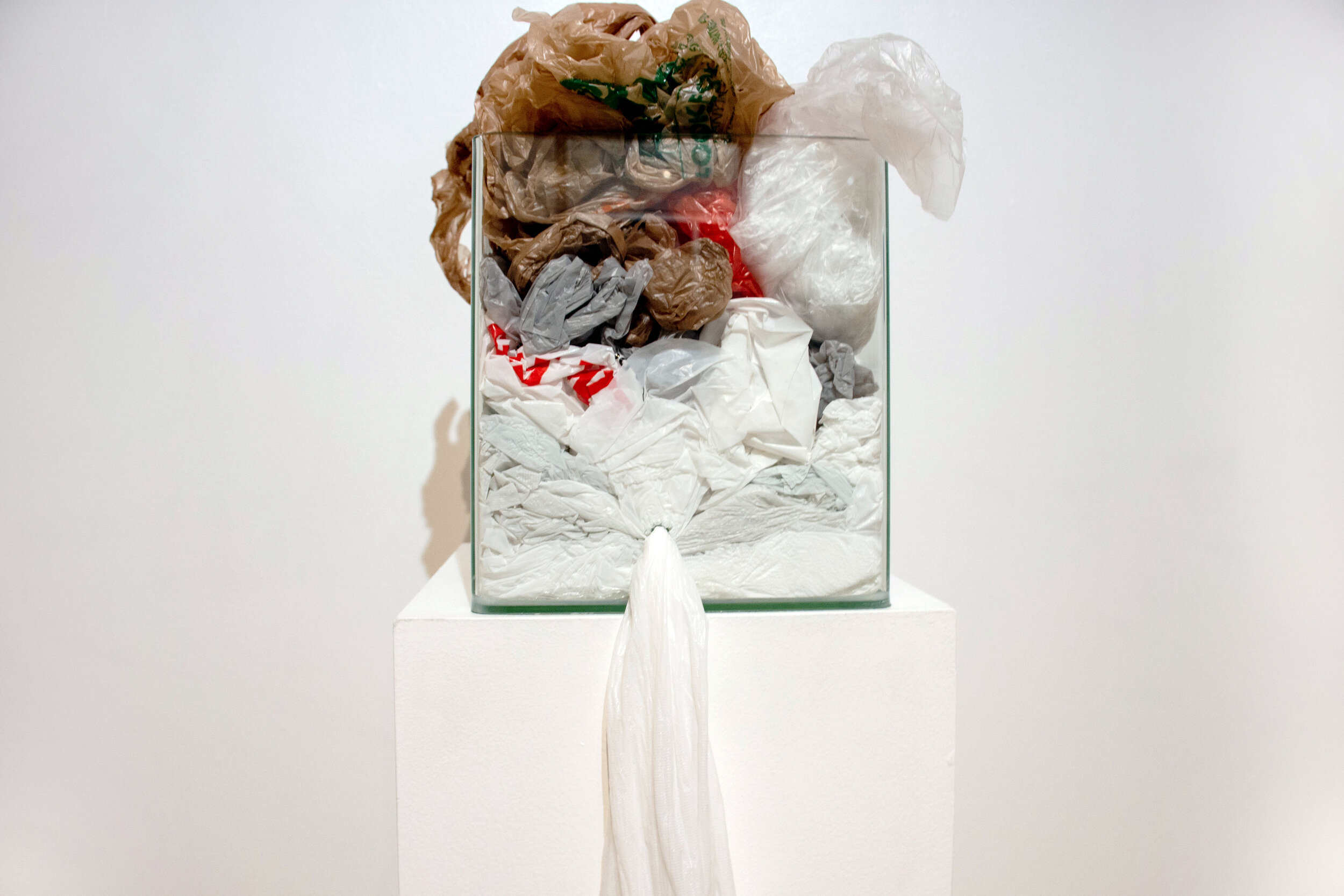  I Deserve to Stay, Dimensions variable, Water Tank &amp; Plastic Bags &amp; Water, 2018 