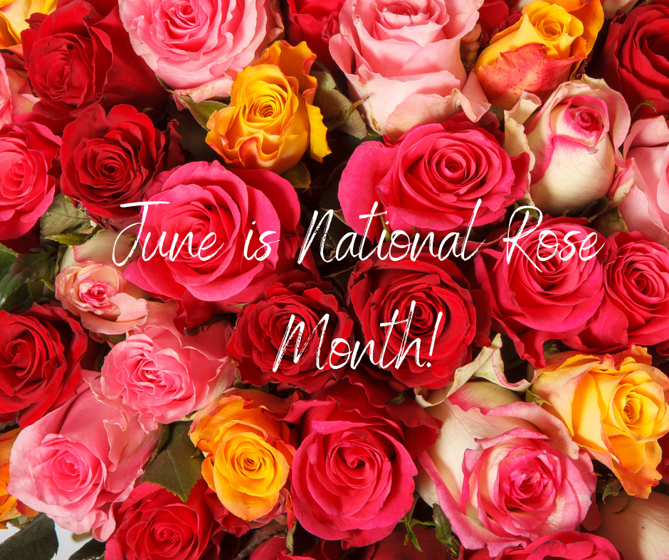 June is the National Rose Month!