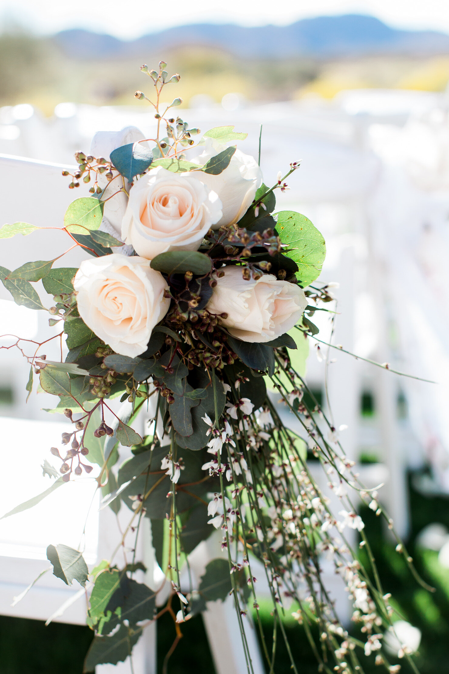 BCChair Roses DecorAZ.JPG