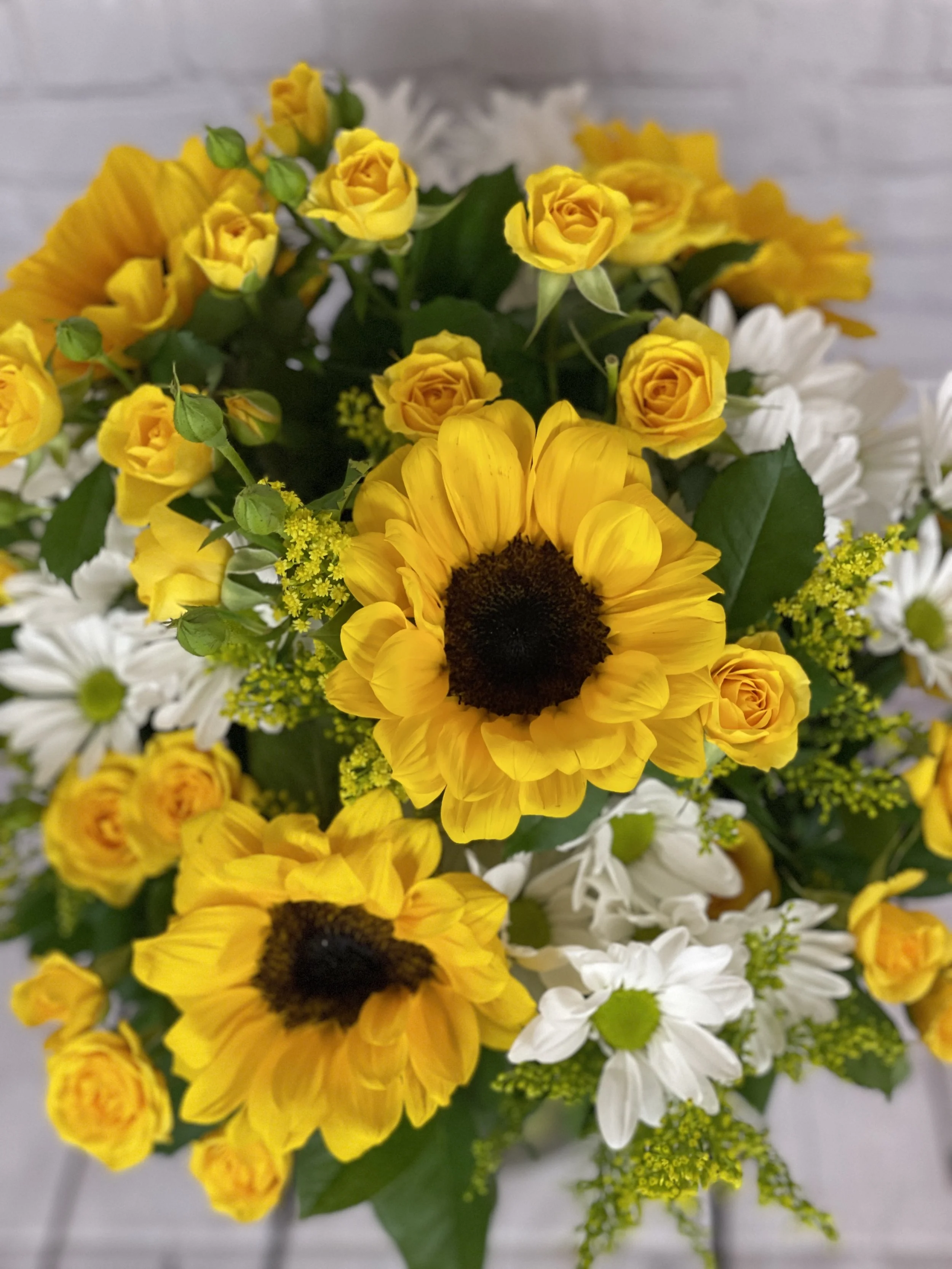 BloomingCanyon SuunyDays Top View.JPG