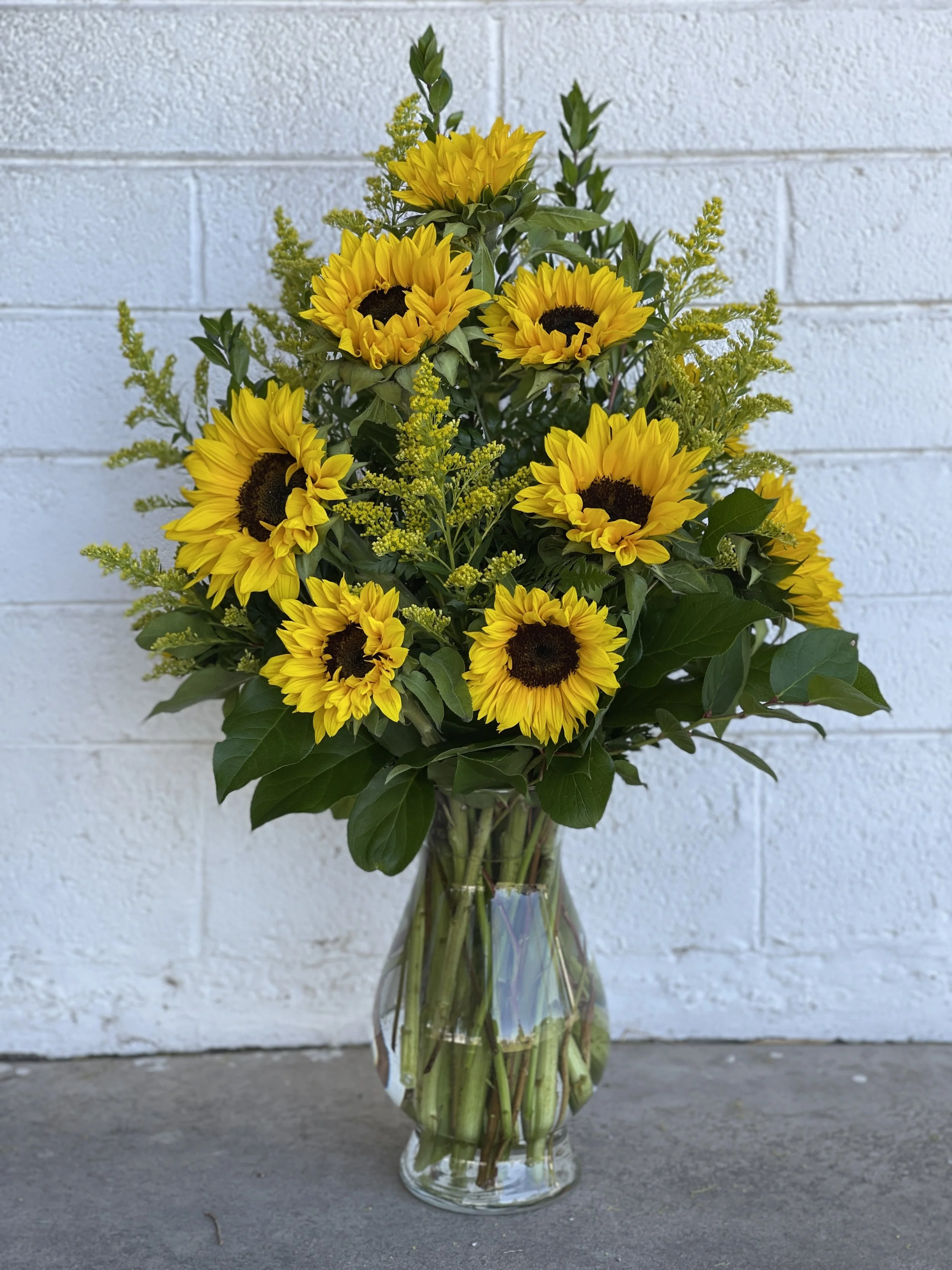 BC All Sunflowers .JPG