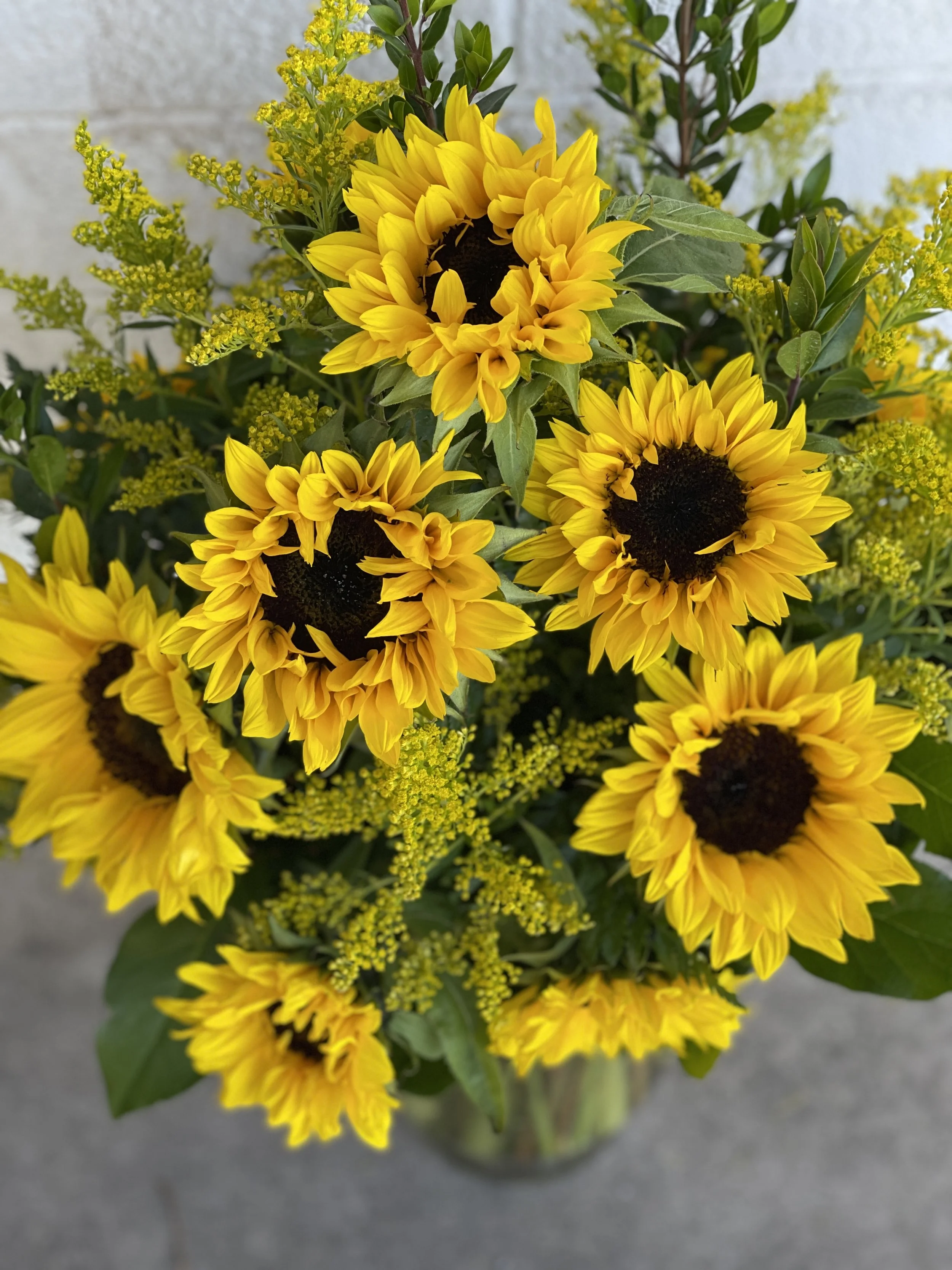 BC All Sunflowers Top.JPG