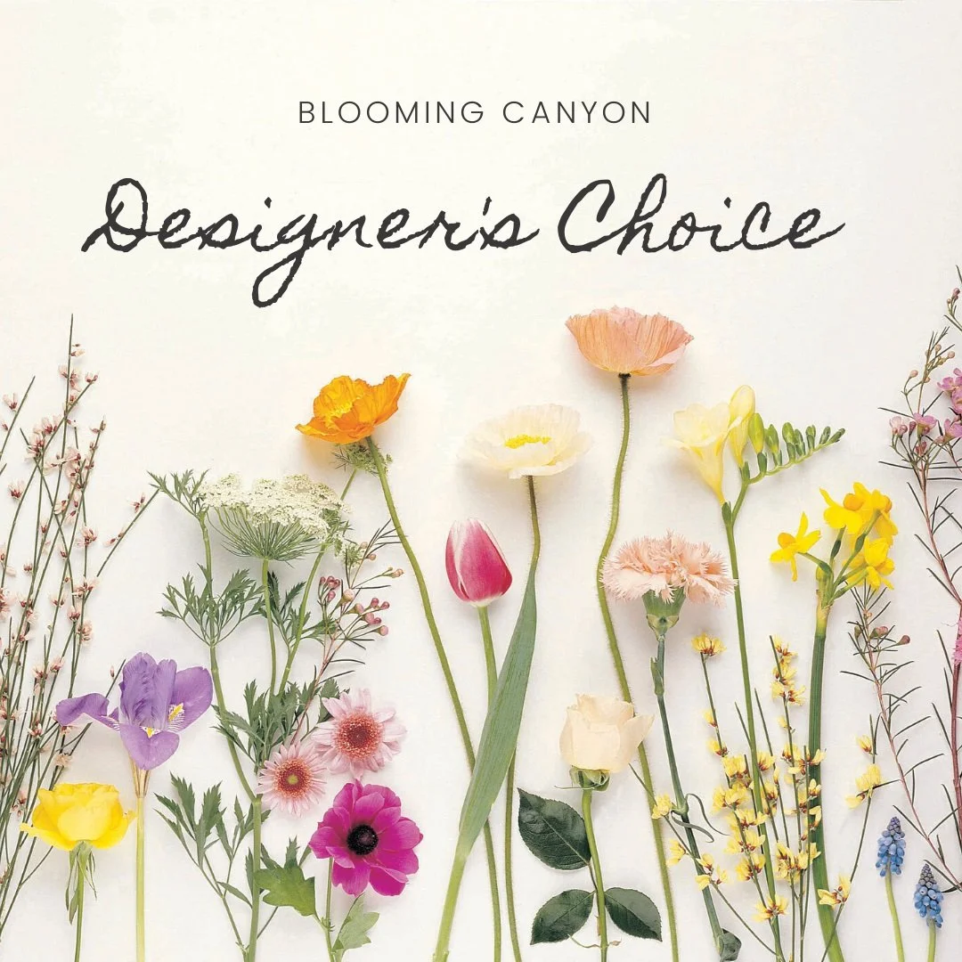 Same Day Delivery - Designer's Choice by Blooming Canyon
