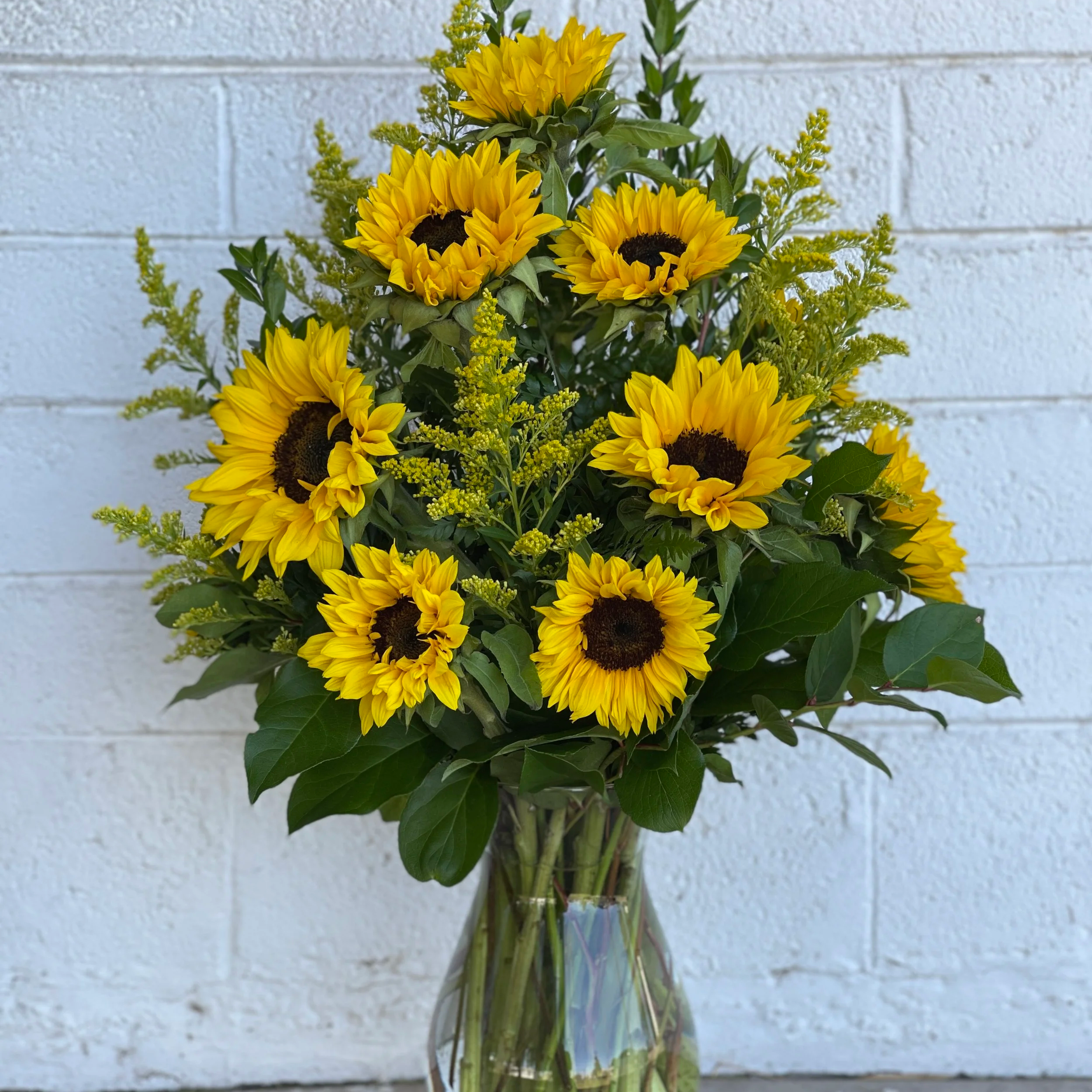 Sunflower Fields by Blooming Canyon