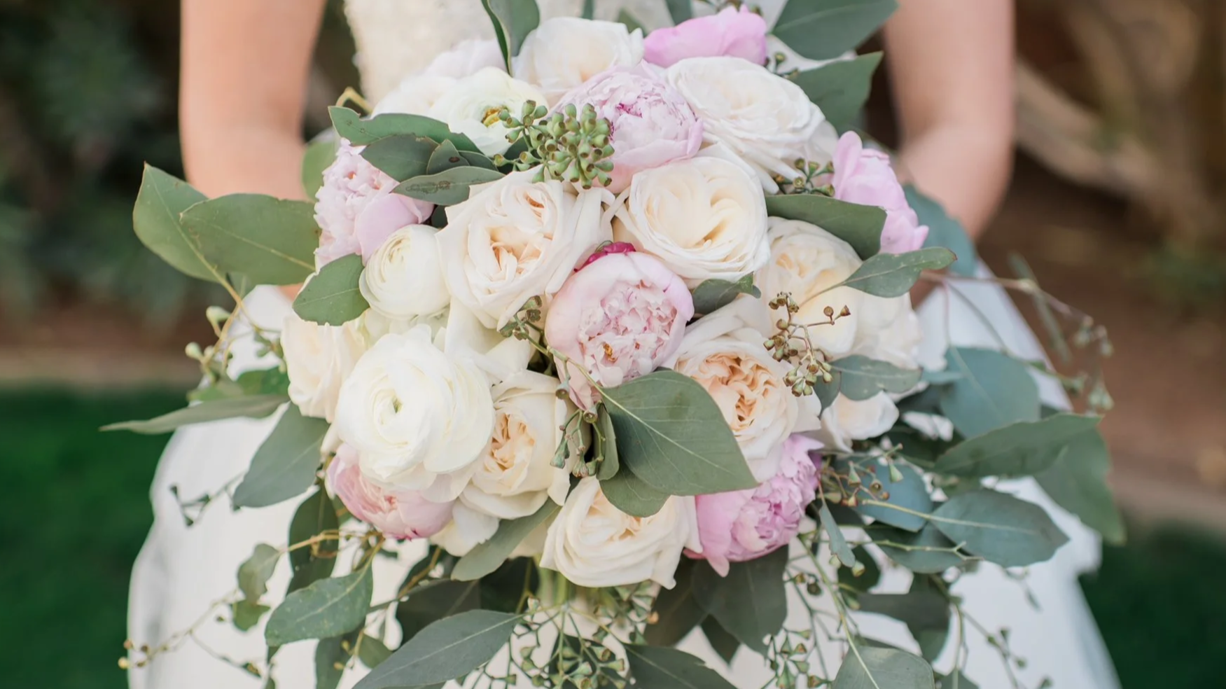 SpringPeonies BloomingCanyonAZ.png