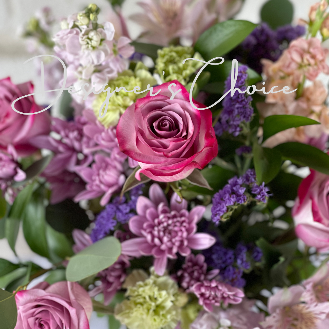 purple-rose-elegance-blooming-canyon.png