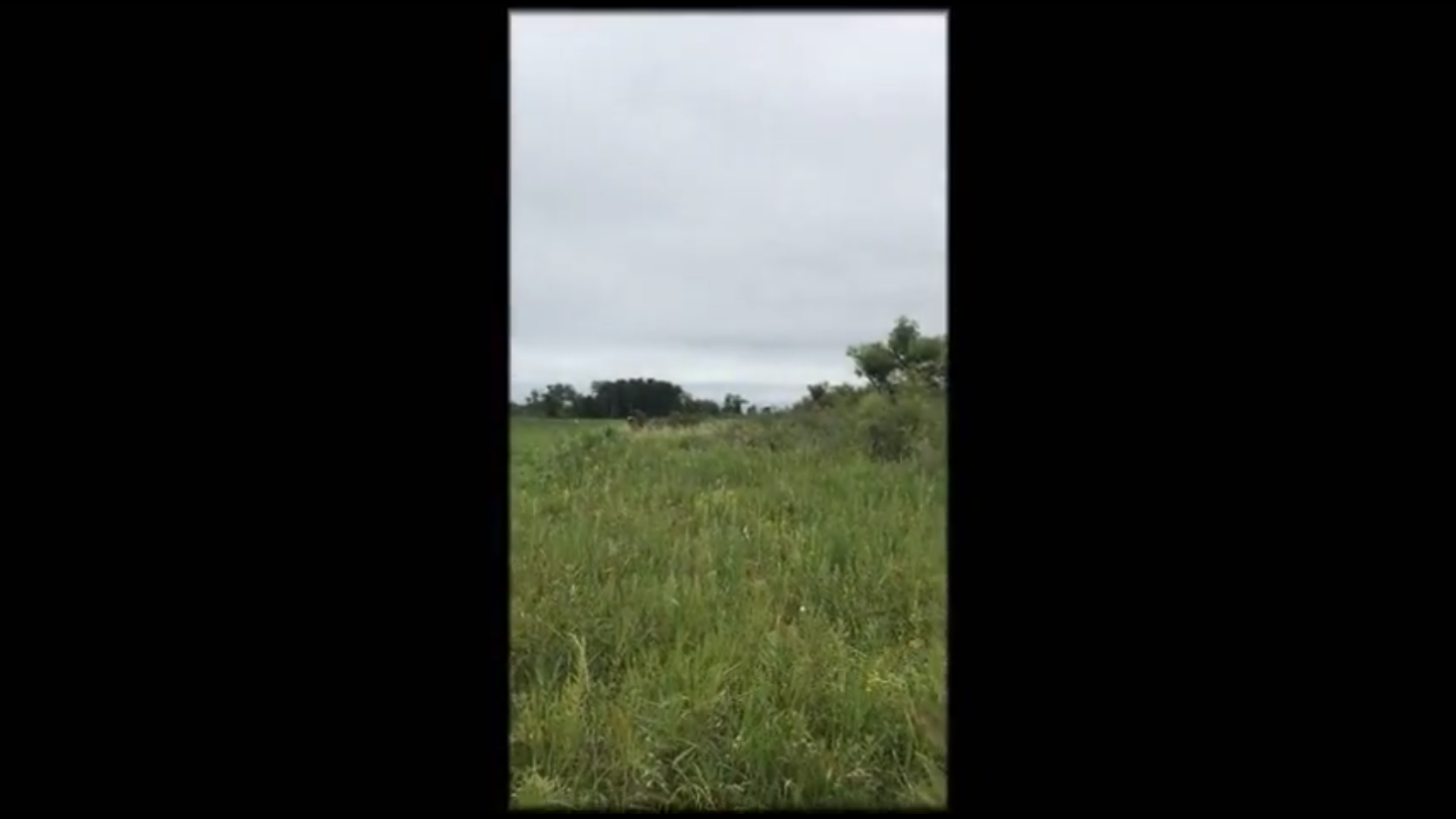 Minnesota Deer Stand Setup