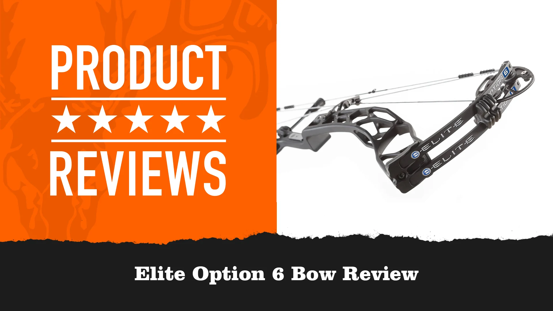 Elite Option 6 Bow Review