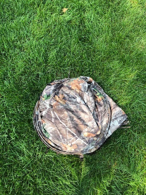 picture5.jpg