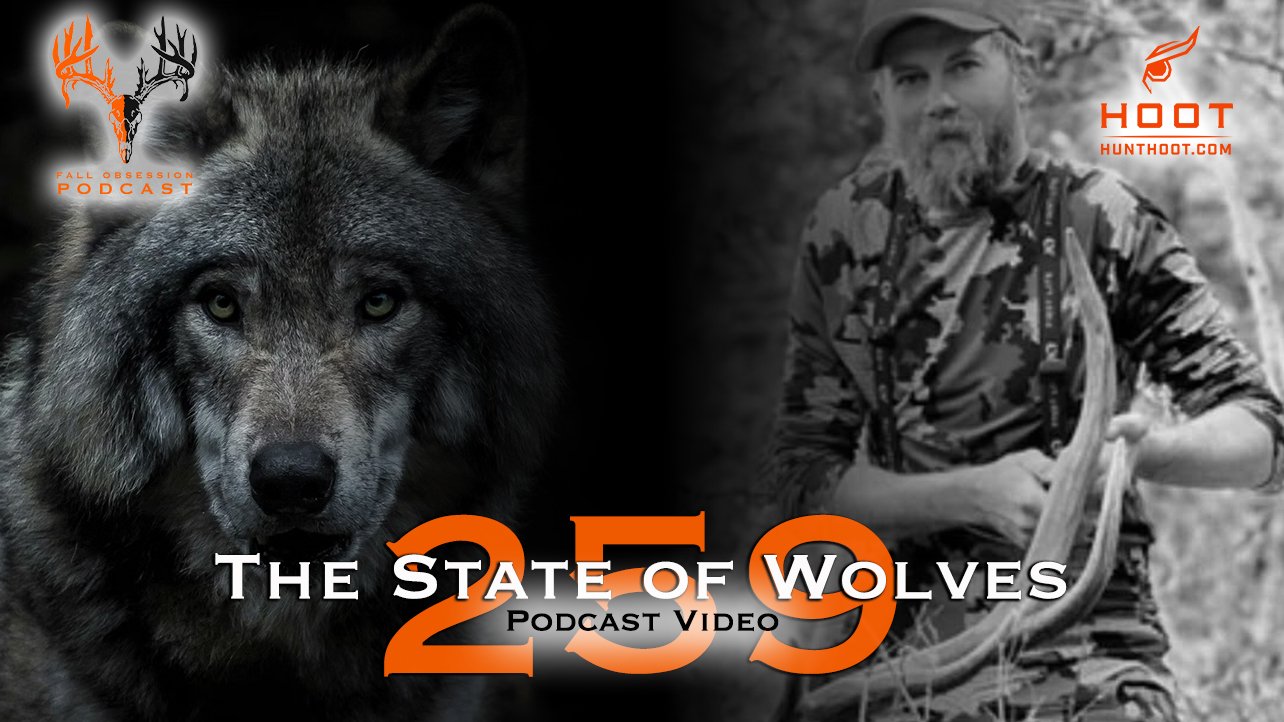 THE STATE OF WOLVES | Podcast Video 259