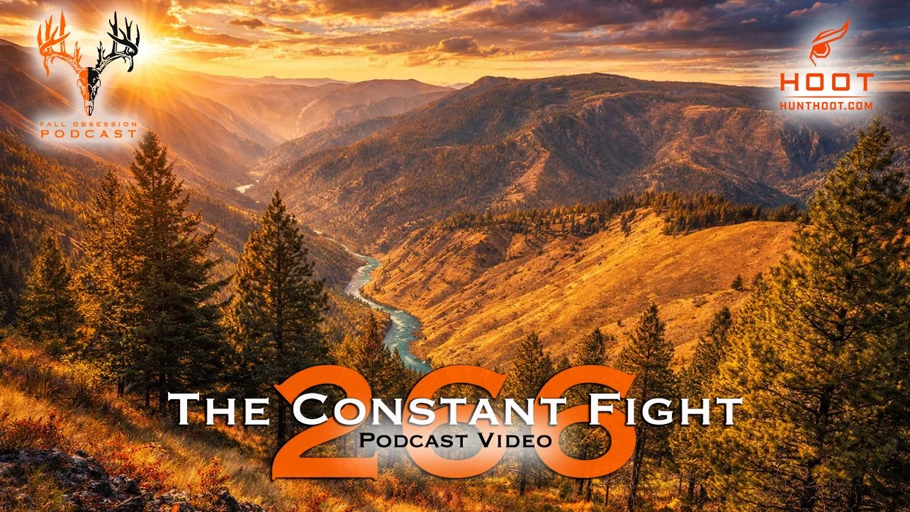 THE CONSTANT FIGHT | Podcast Video 266