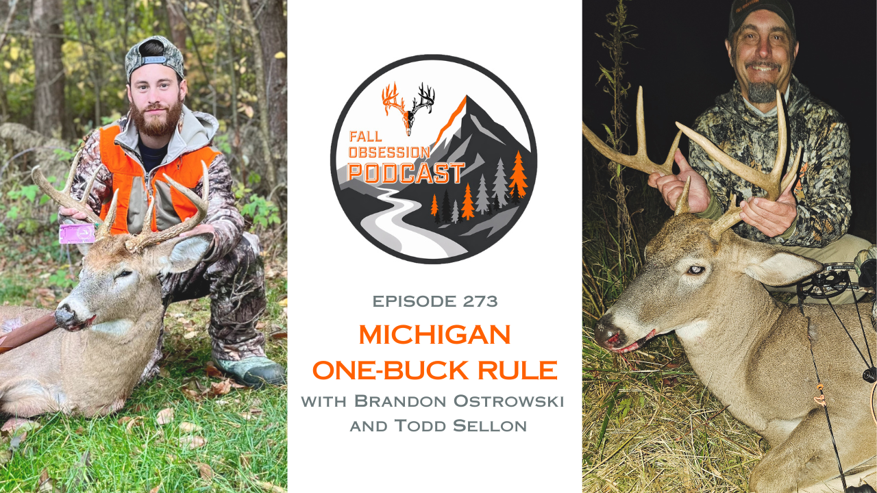 Ep. 273 "Michigan One-Buck Rule" with Brandon Ostrowski &amp; Todd Sellon