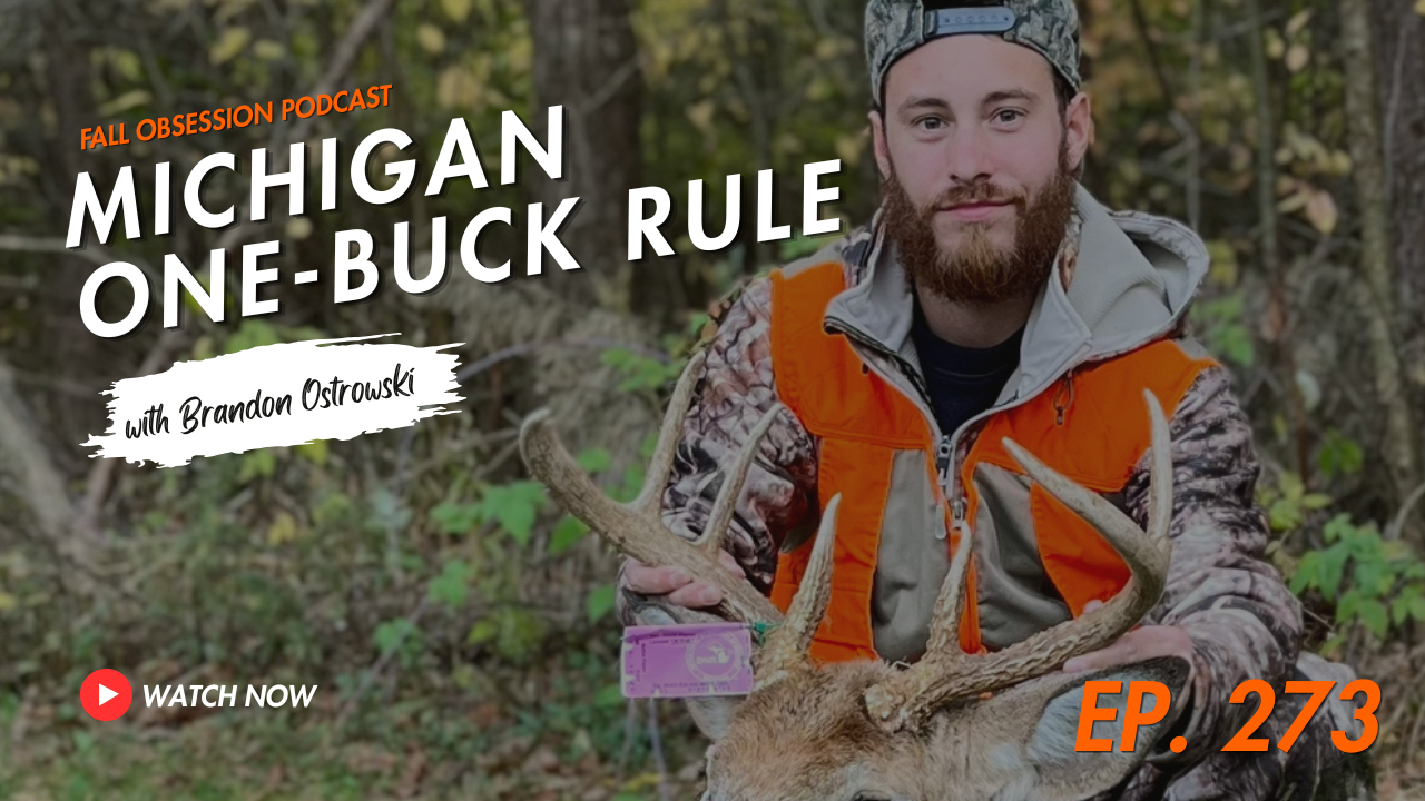 MICHIGAN ONE-BUCK RULE | Podcast Video 273