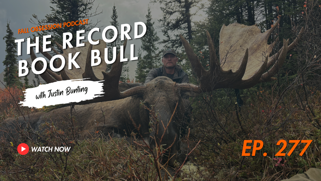 THE RECORD BOOK BULL | Podcast Video 277