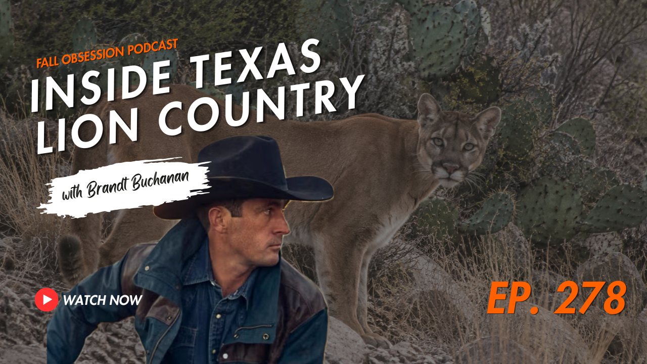  INSIDE TEXAS LION COUNTRY | Podcast Video 278
