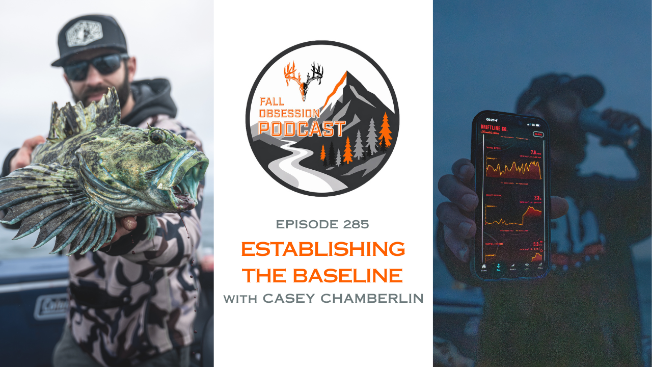 Ep. 285 "Establishing the Baseline" with Casey Chamberlin