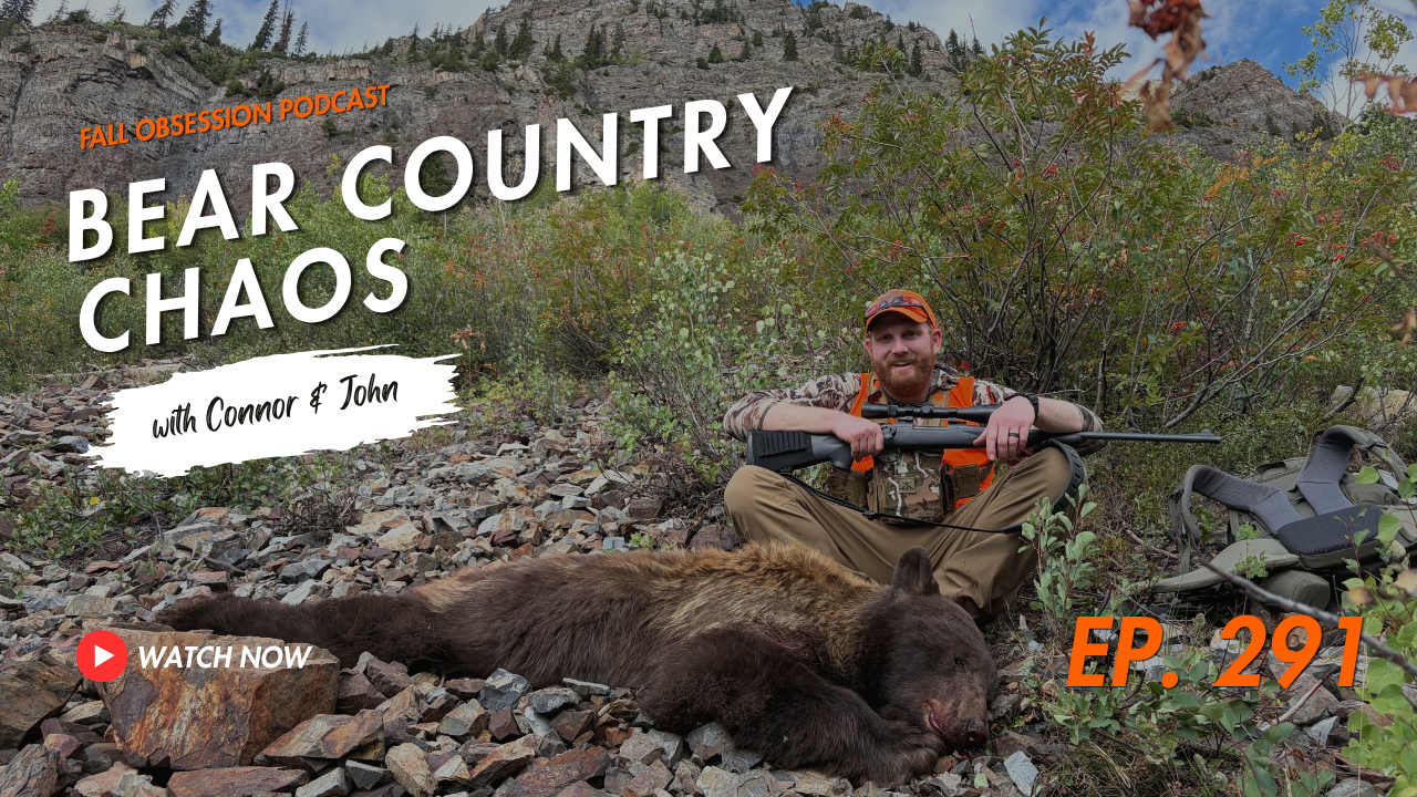 BEAR COUNTRY CHAOS | Podcast Video 291