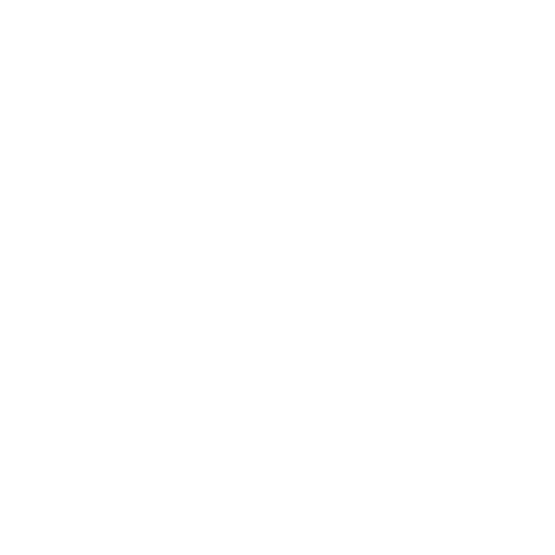 Digital Media Architects
