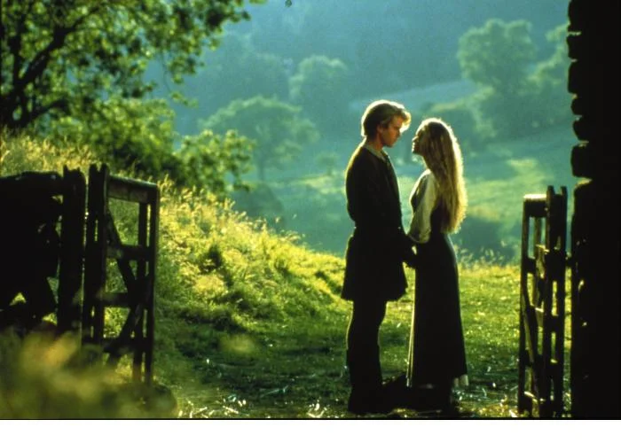A gap in the fence, where the love gets in.